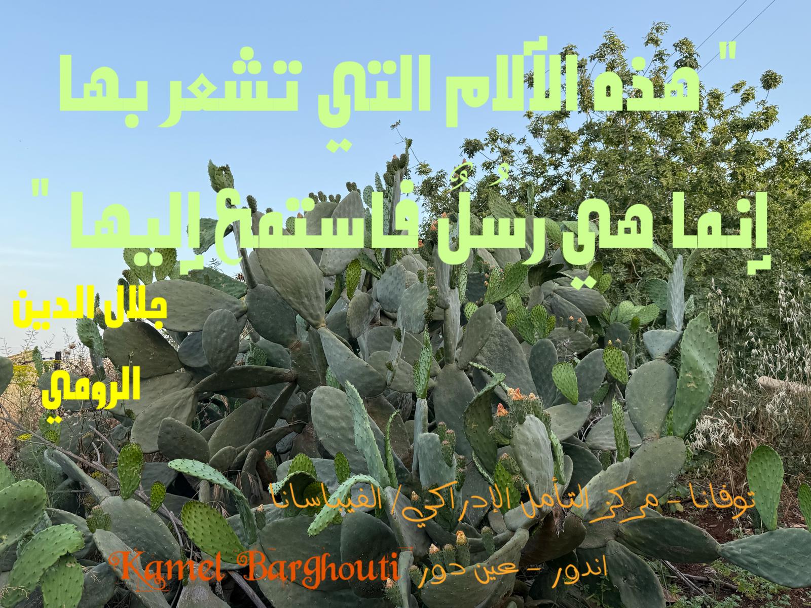 حكمة – اقتباس 341