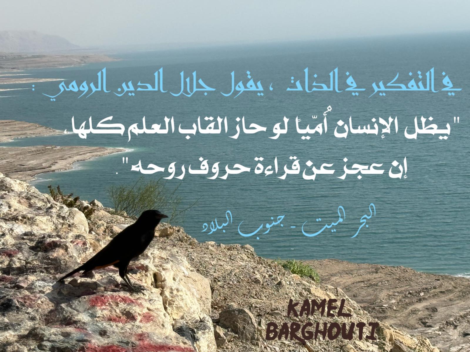 حكمة – اقتباس 342