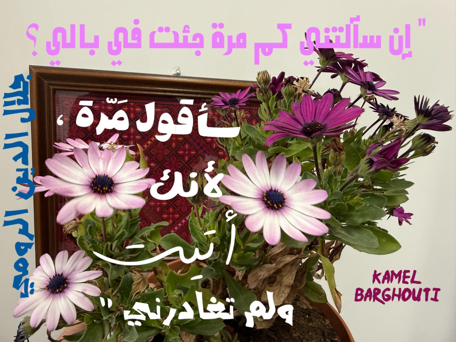 حب وحنين – اقتباس 583