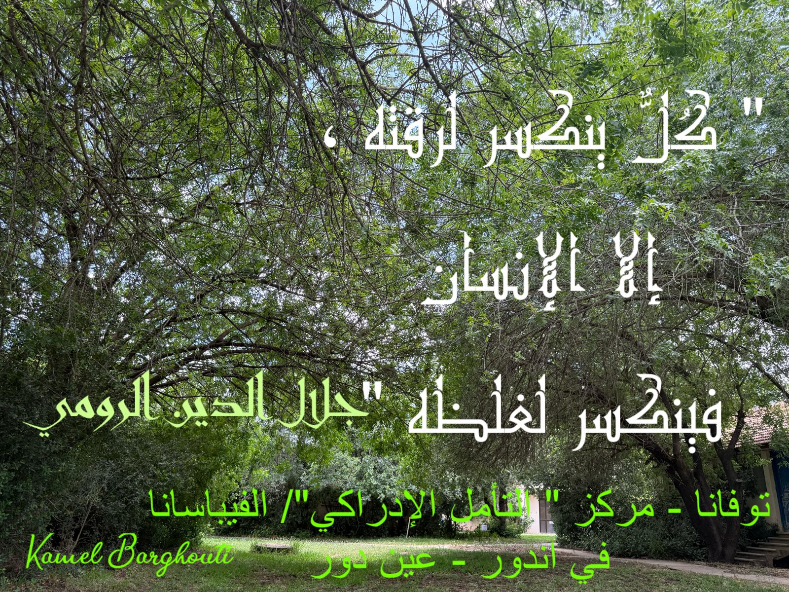 حكمة – اقتباس 336