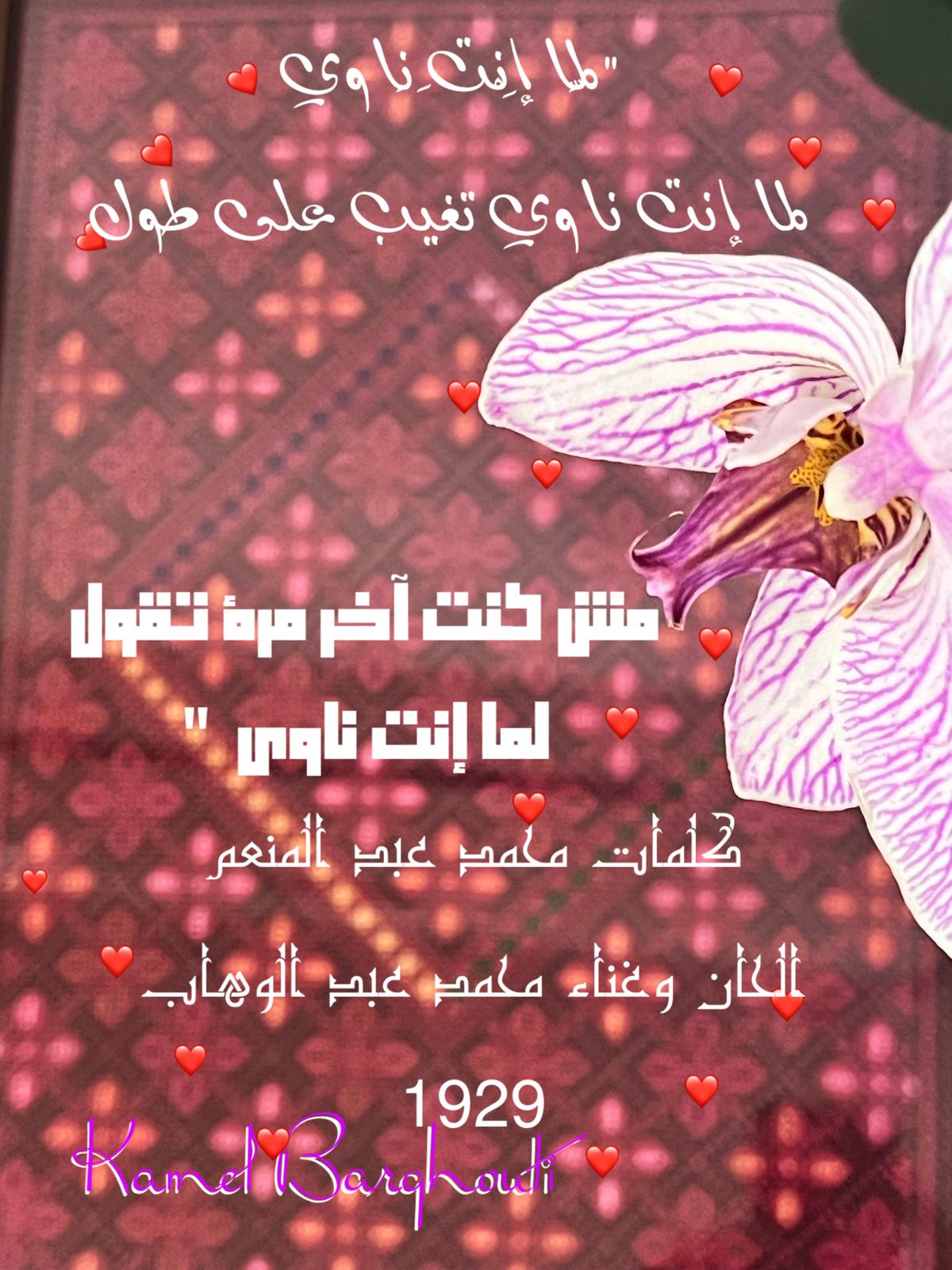 حب وحنين – اقتباس 579