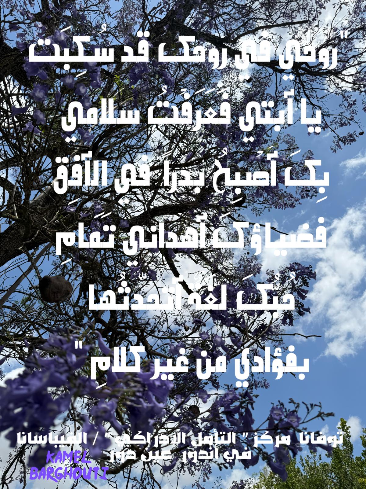 حب وحنين – اقتباس 581