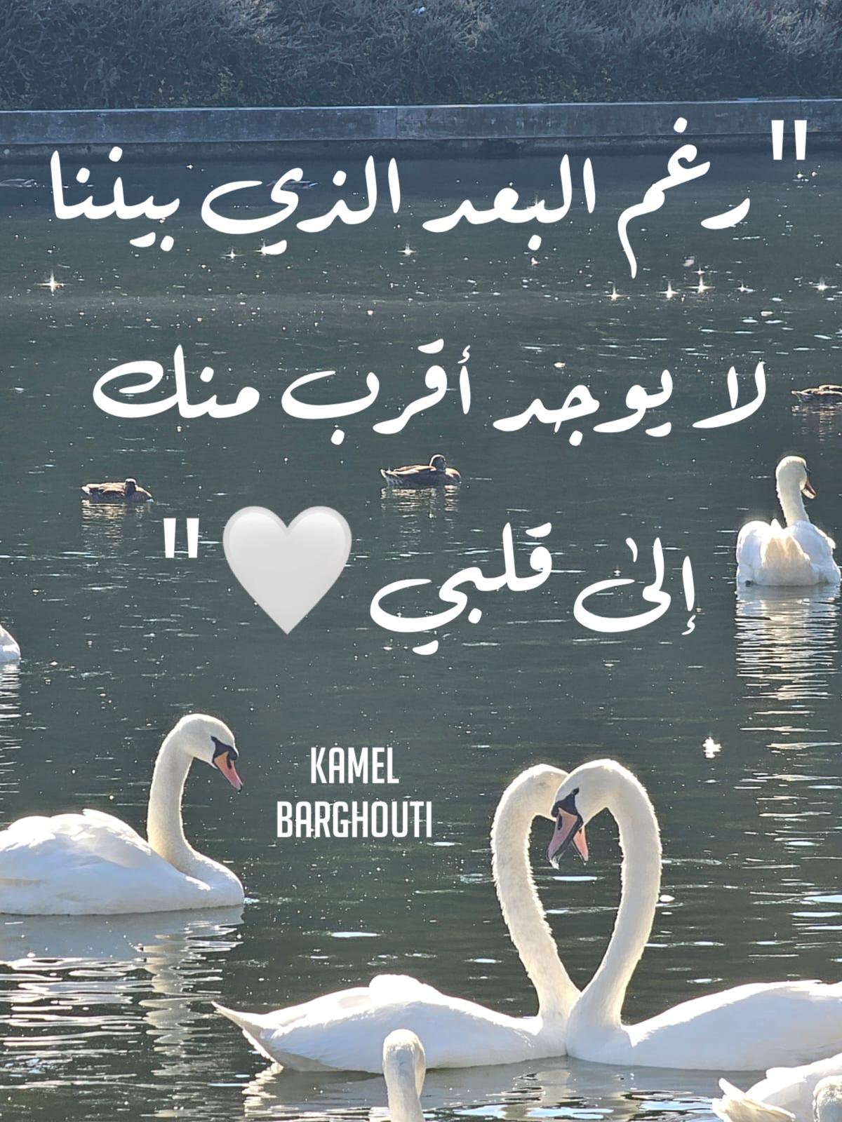 حب وحنين – اقتباس 582
