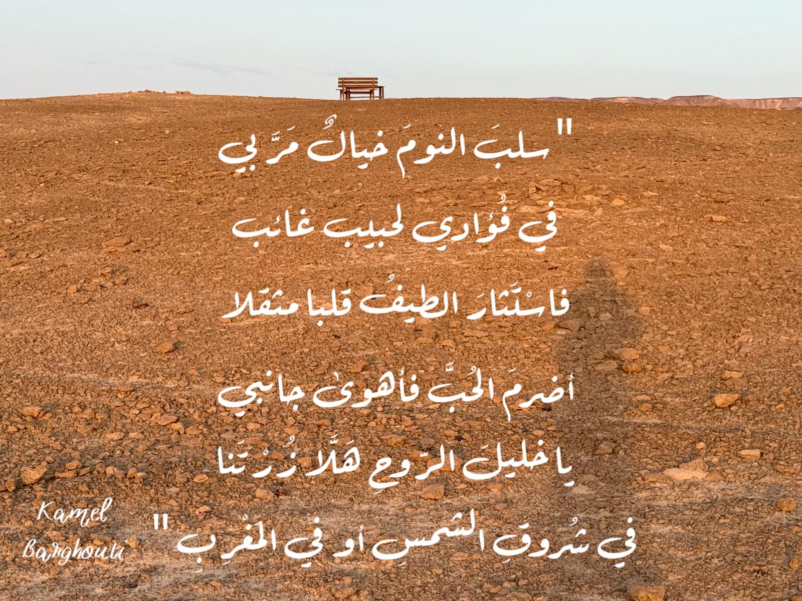 حب وحنين – اقتباس 576