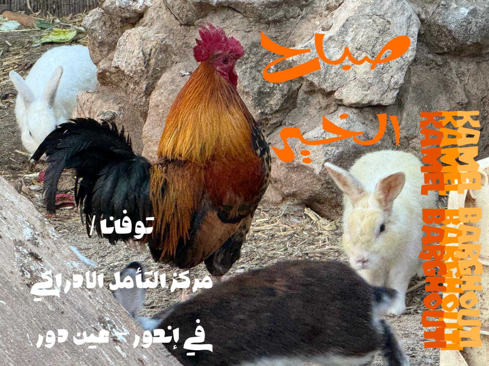 صباح الخير – اقتباس 126
