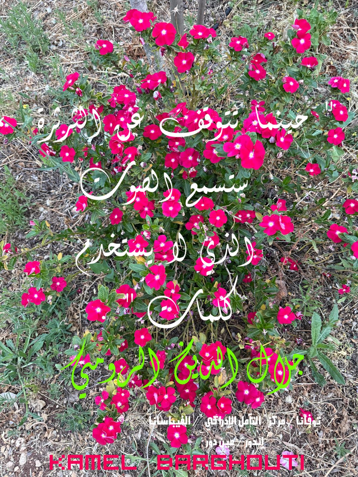 حكمة – اقتباس 333