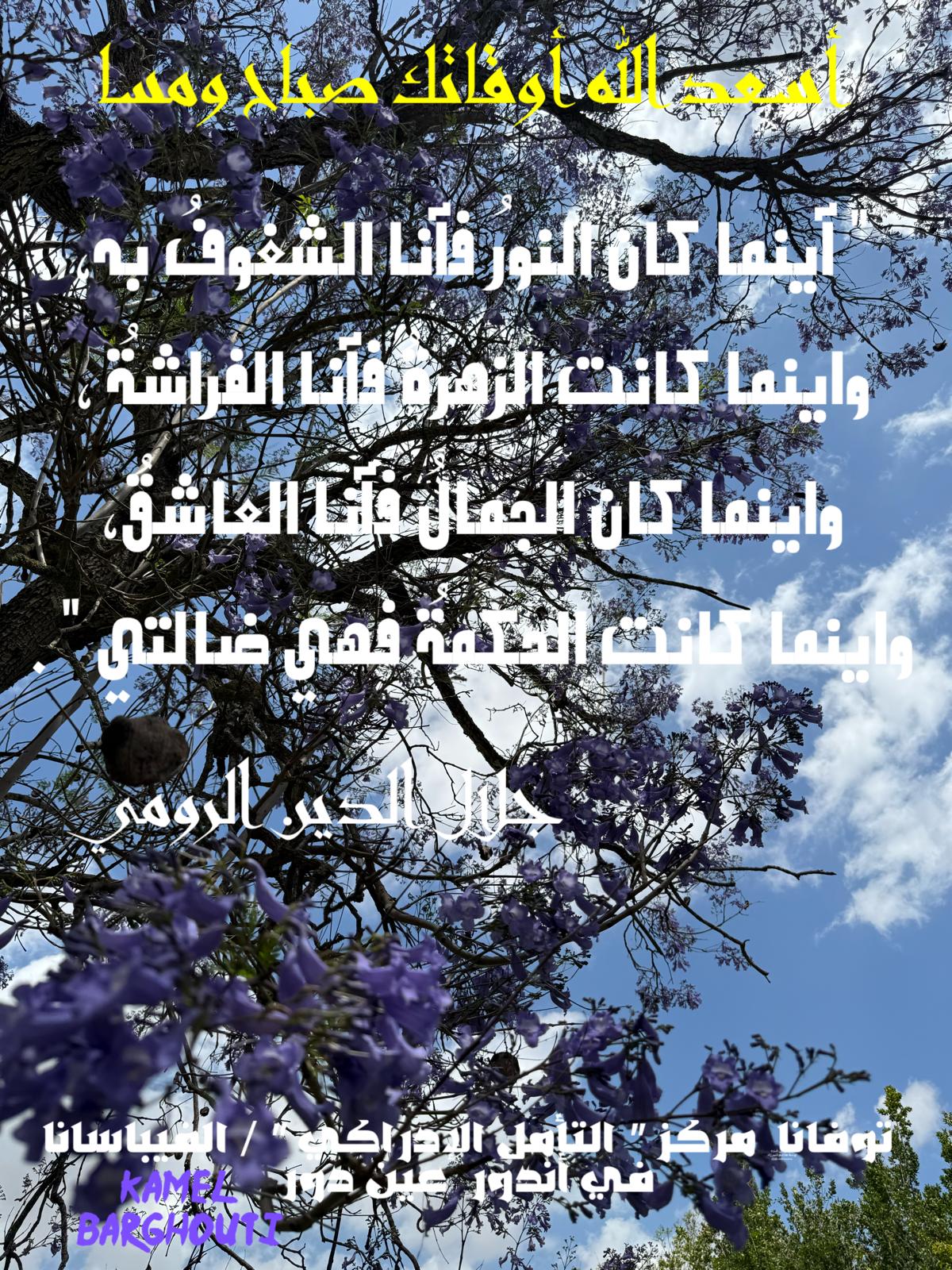 كلام جميل – اقتباس 633