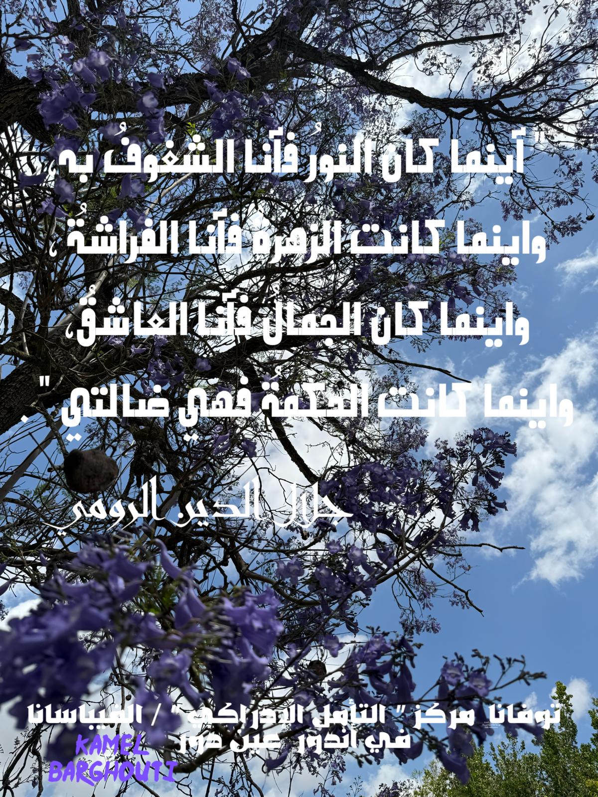 كلام جميل – اقتباس 631