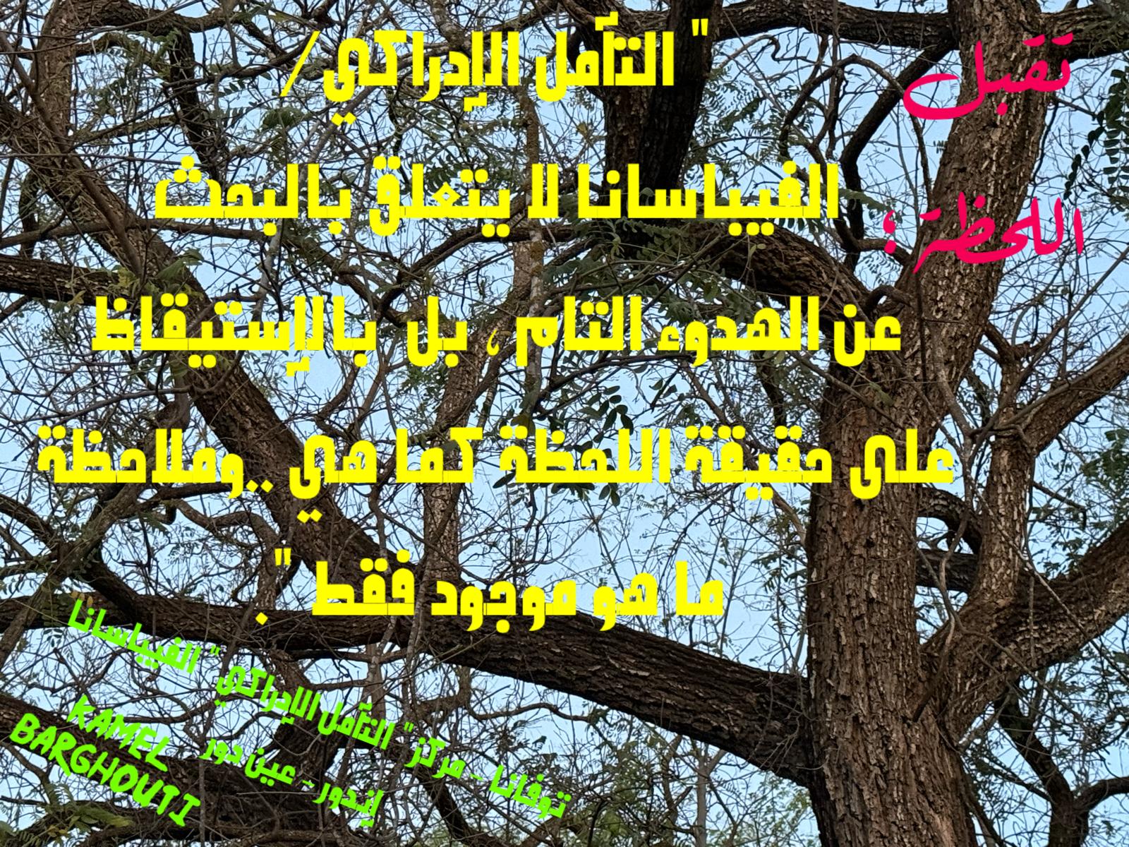 حكمة – اقتباس 329