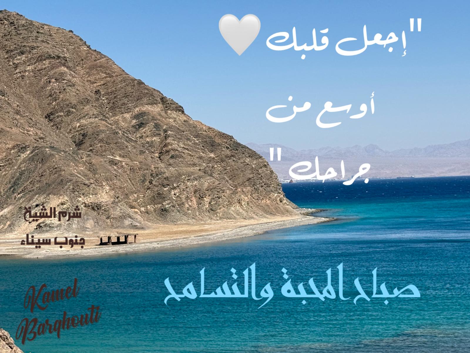 تسامح – اقتباس 36