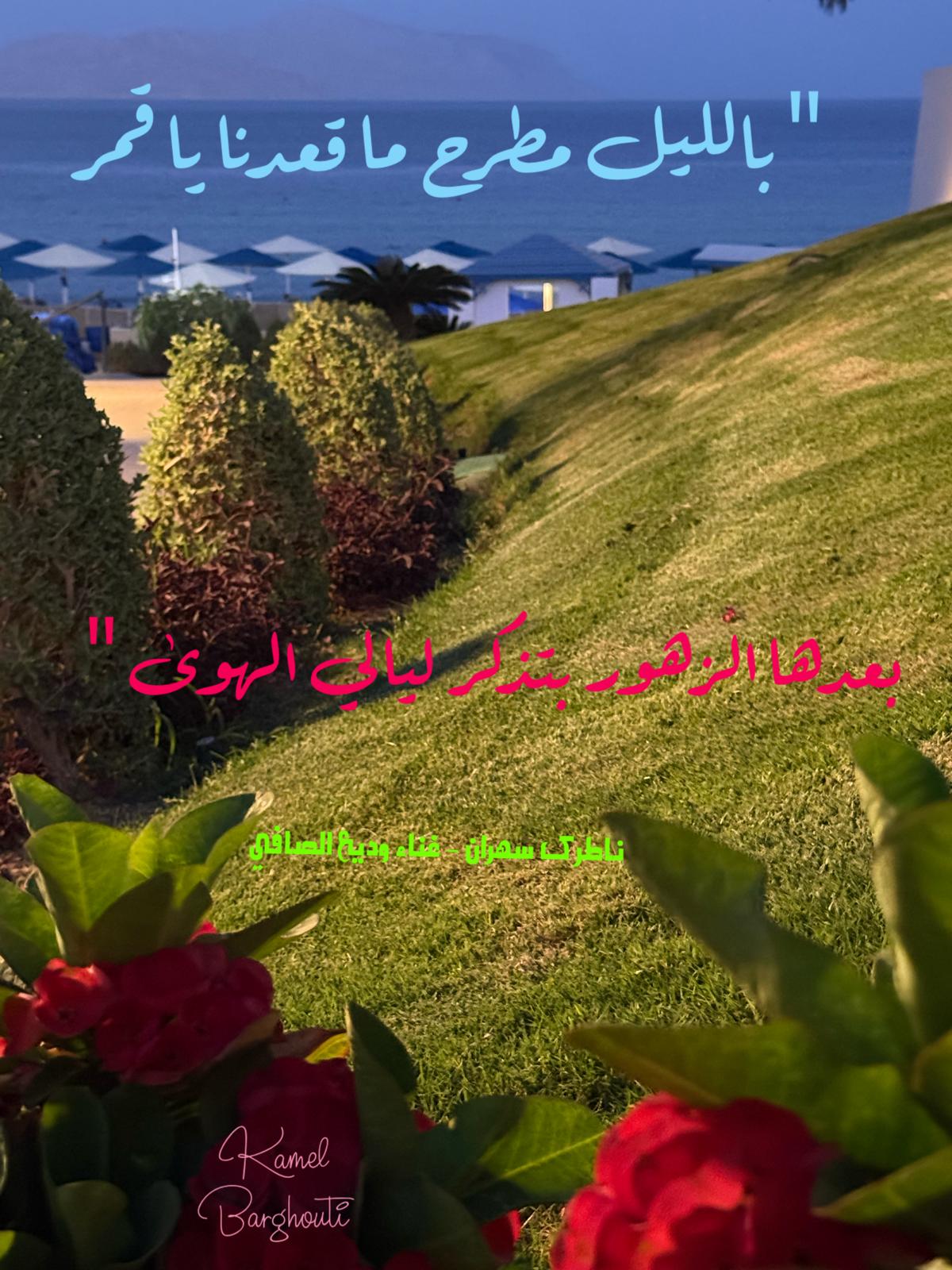 حب وحنين – اقتباس 573