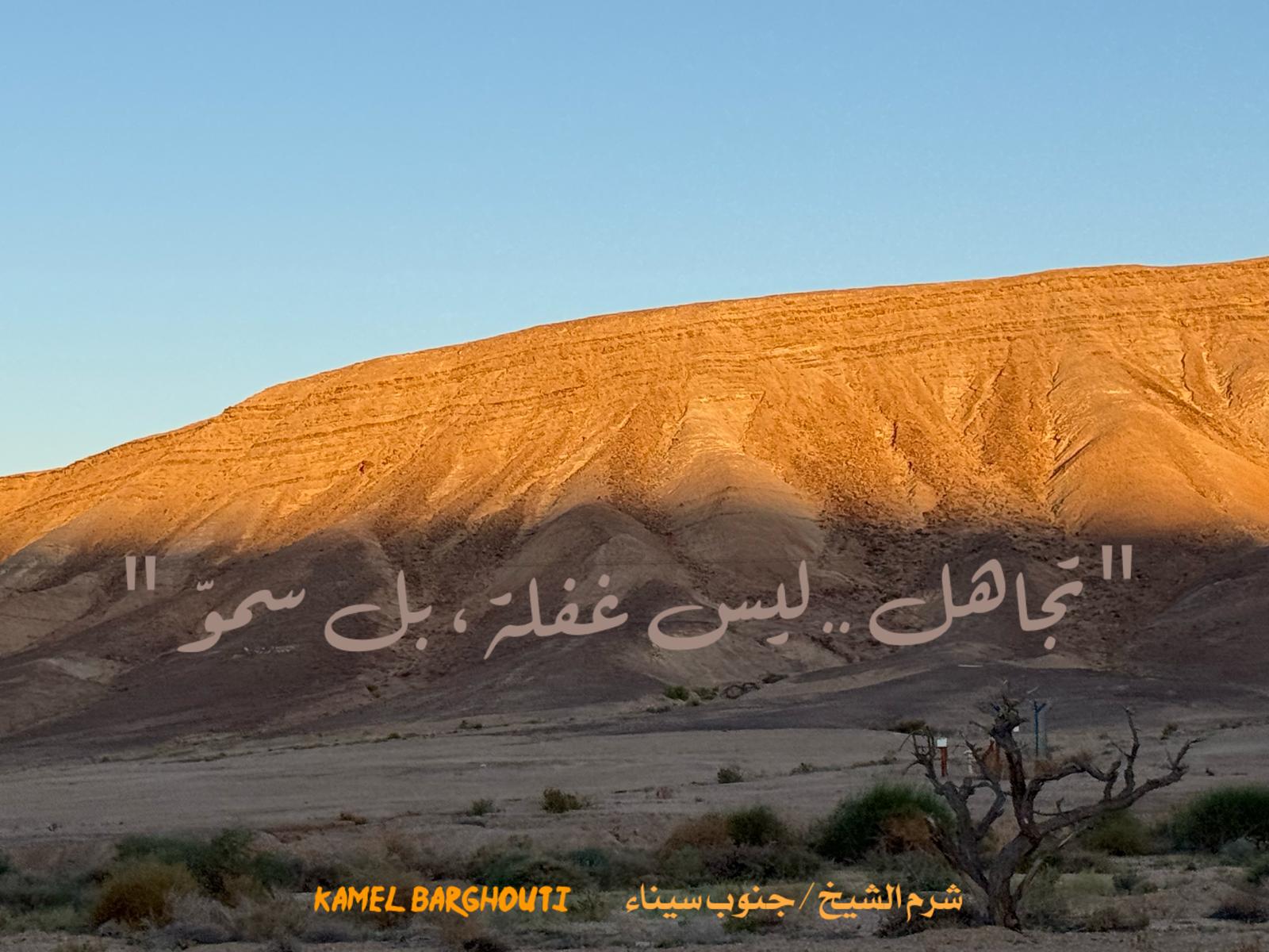 حكمة – اقتباس 321