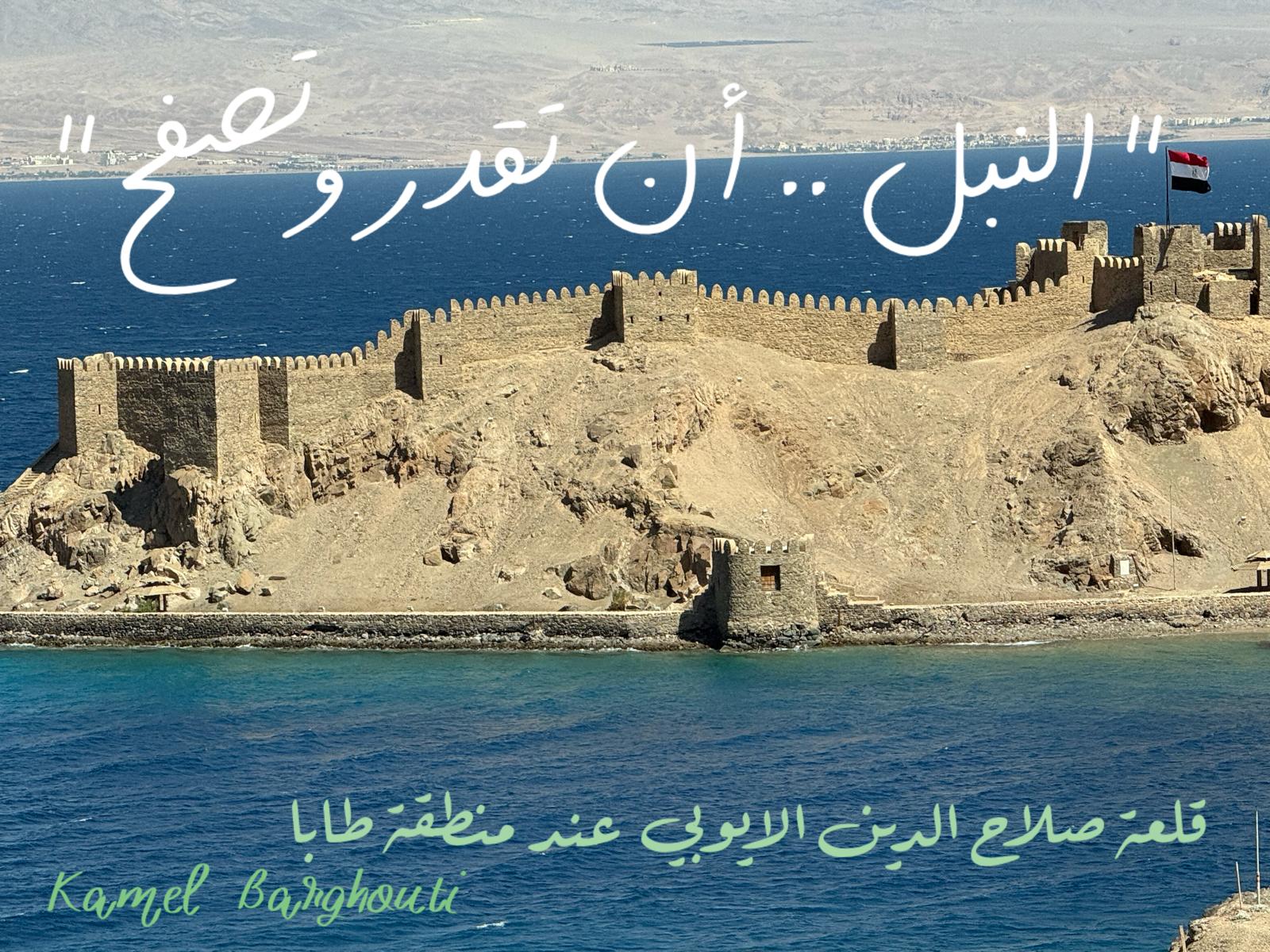 قيم إنسانية – اقتباس 345