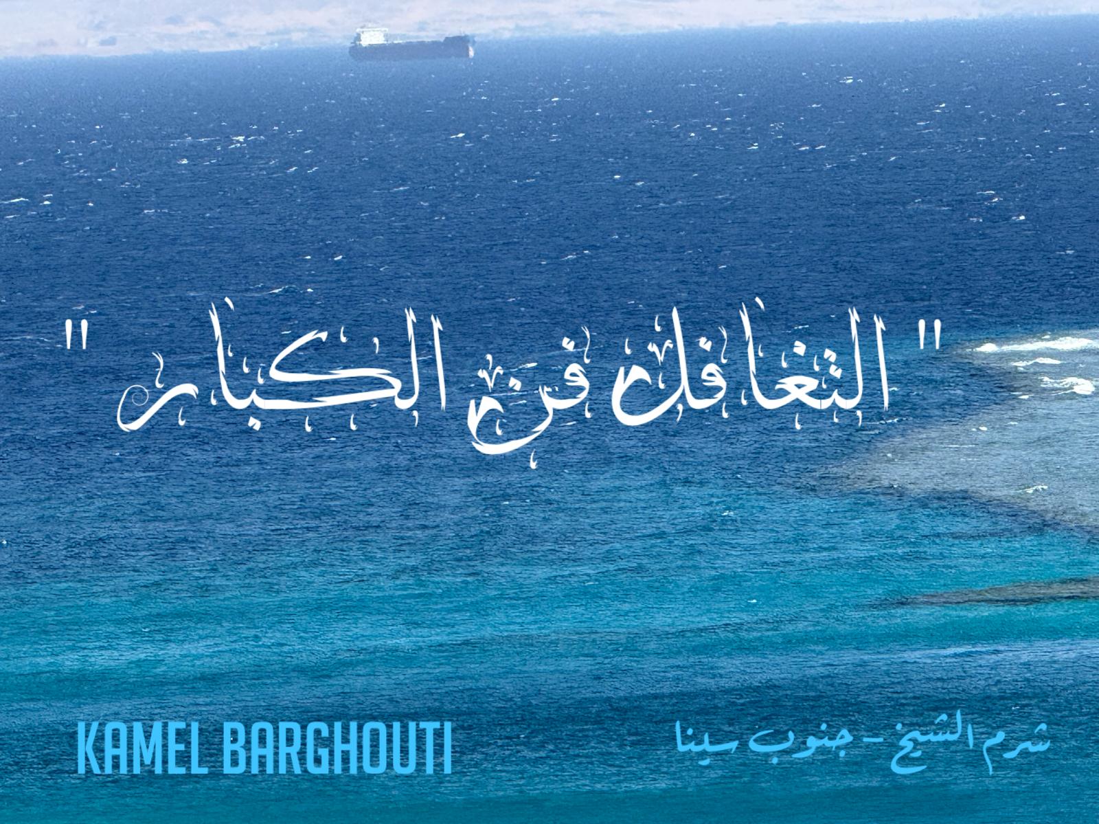 حكمة – اقتباس 320