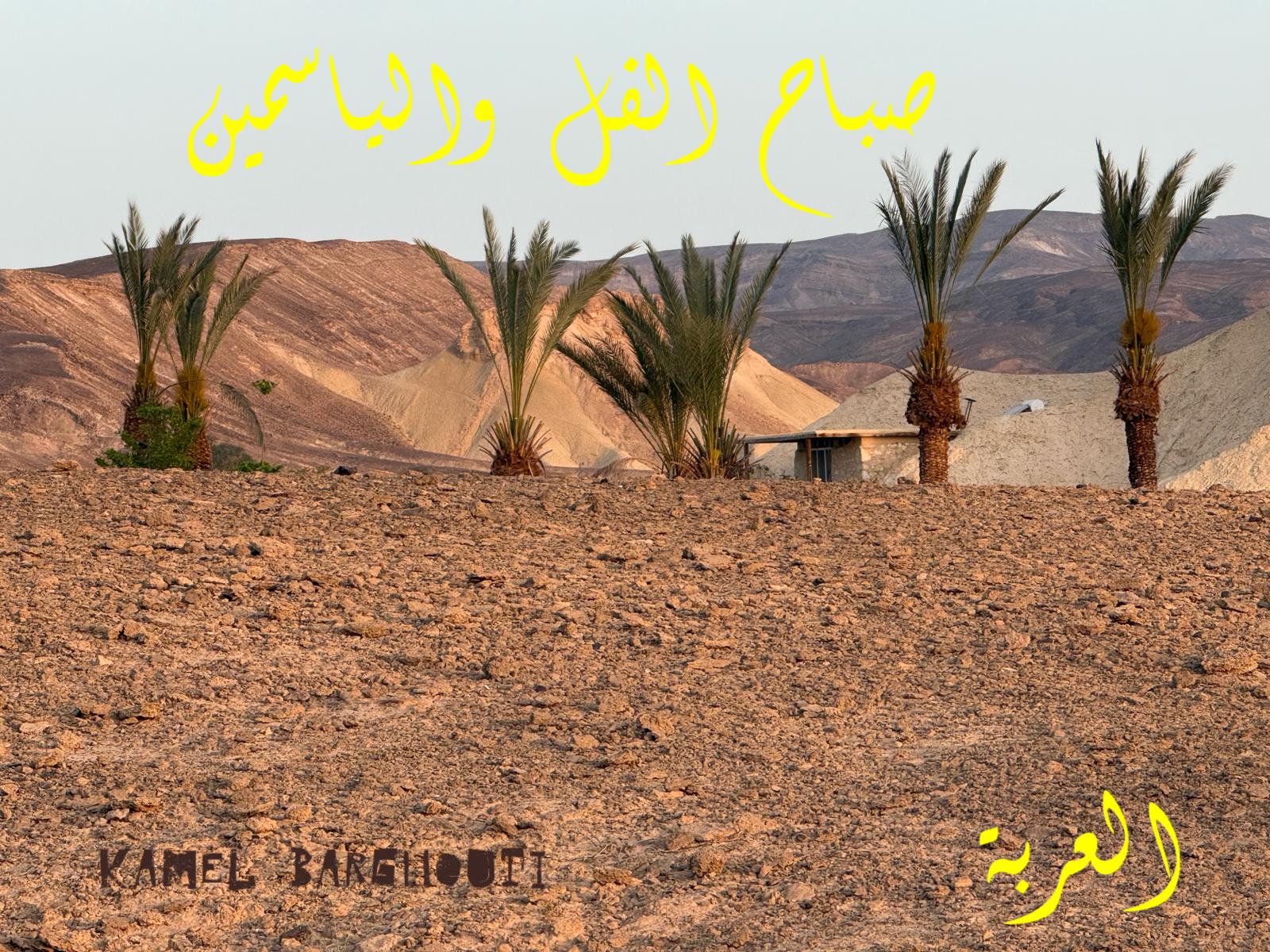 صباح الخير – اقتباس 122