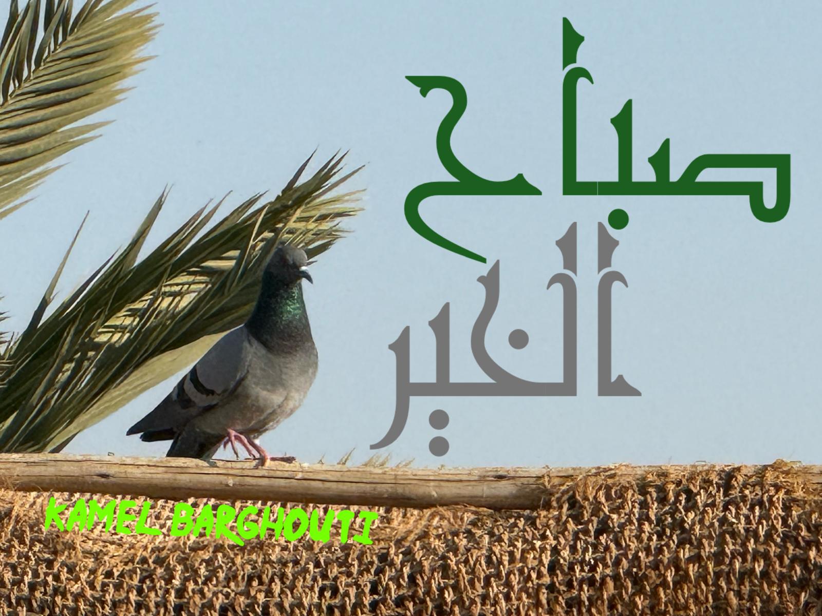 صباح الخير – اقتباس 121