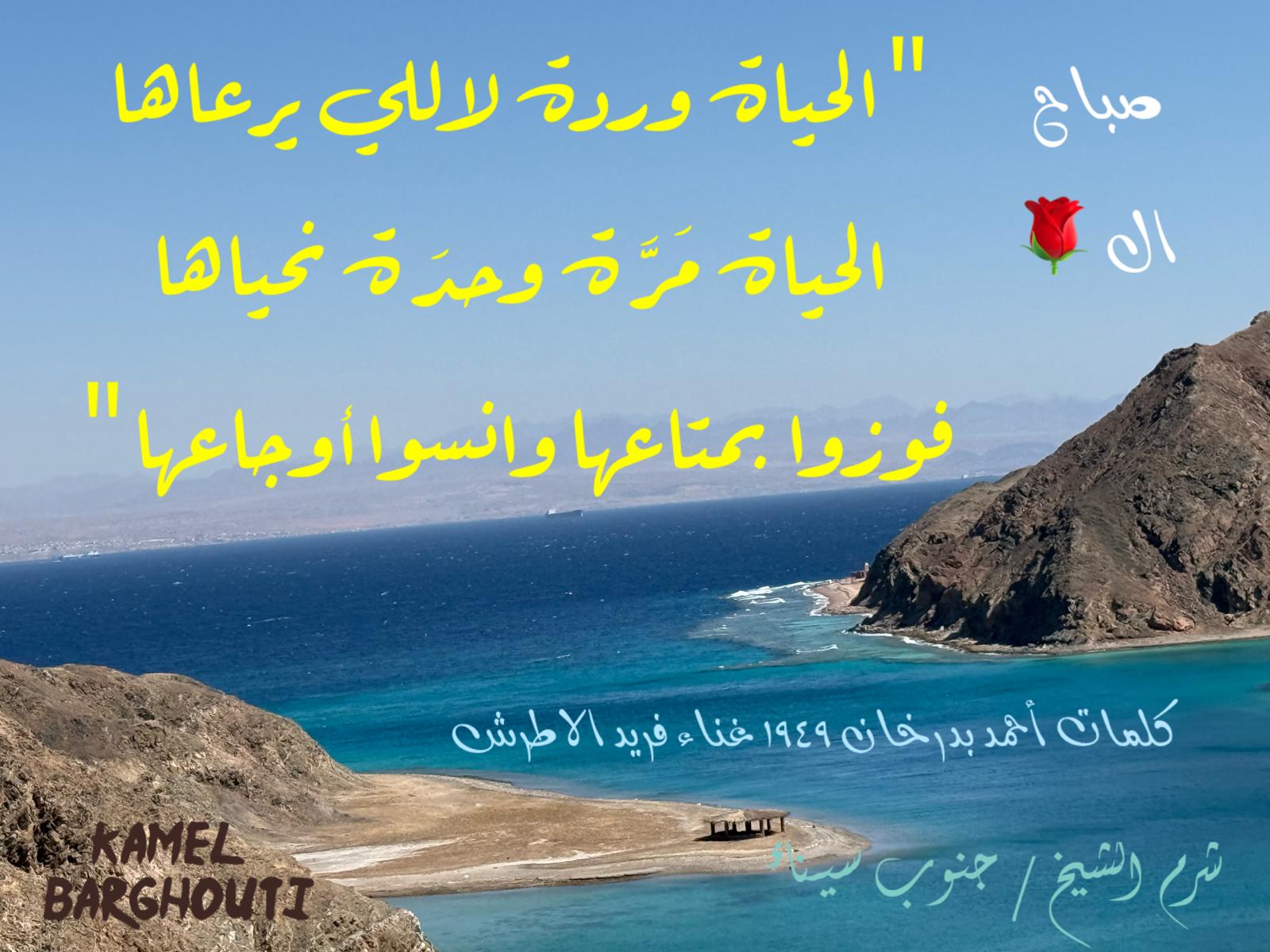 كلام جميل – اقتباس 628