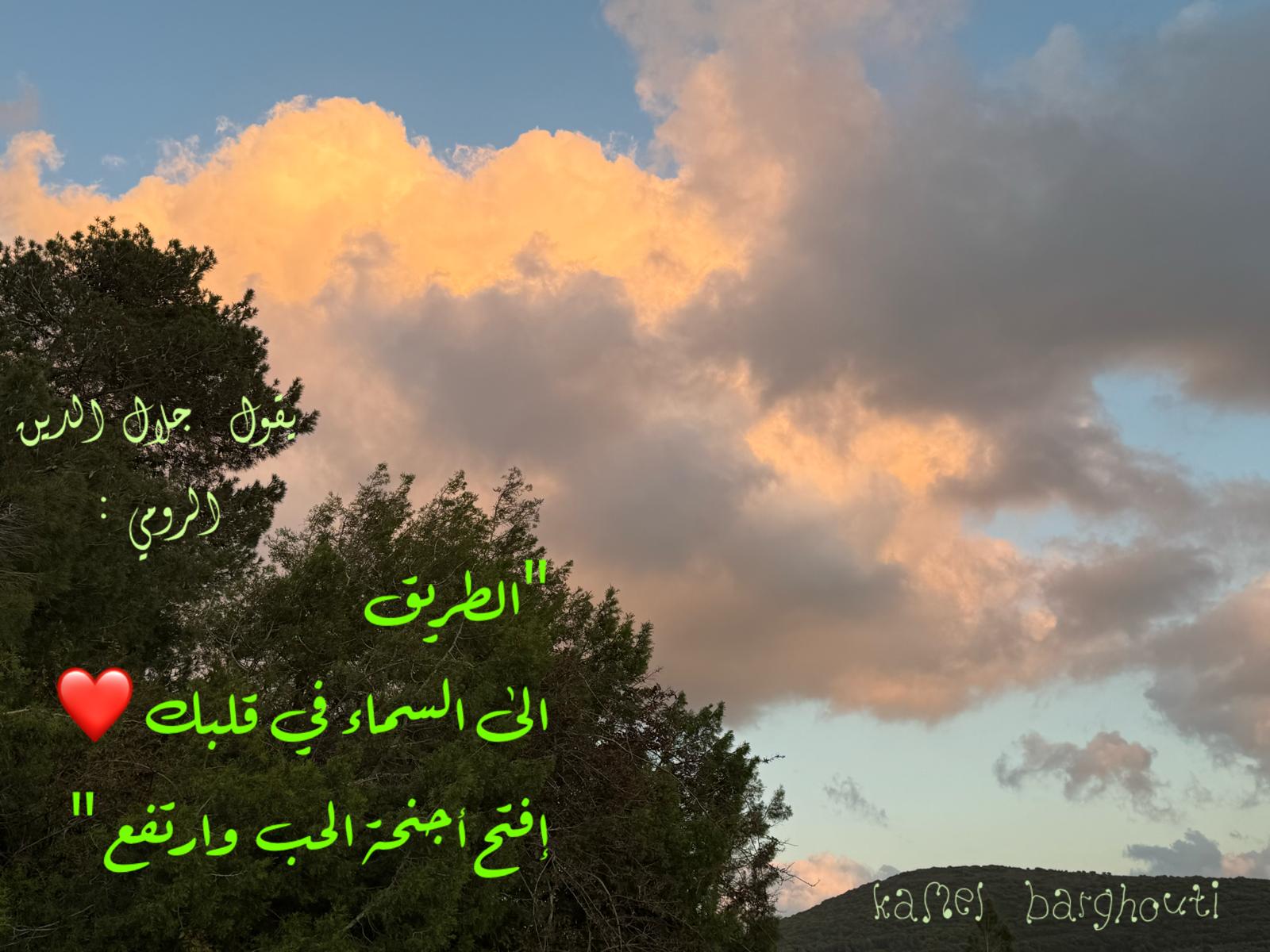 العزيمة والإصرار والثقة بالنفس – اقتباس 290
