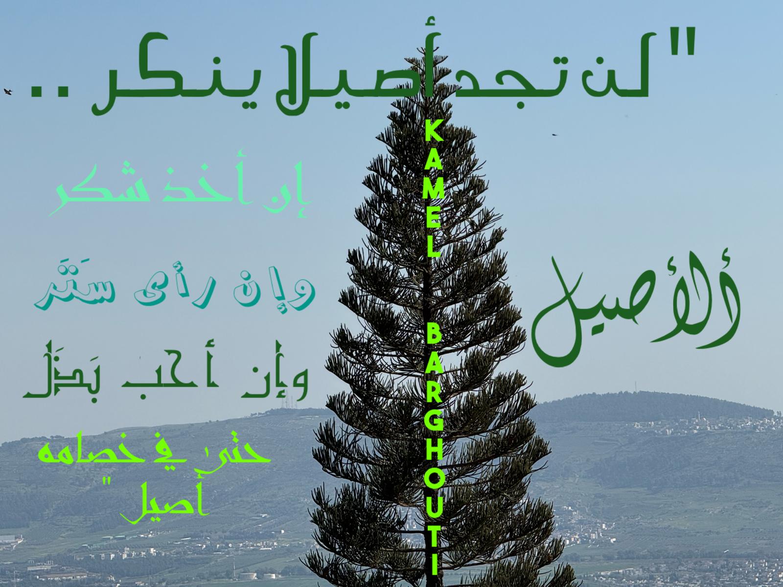 كلام جميل – اقتباس 624