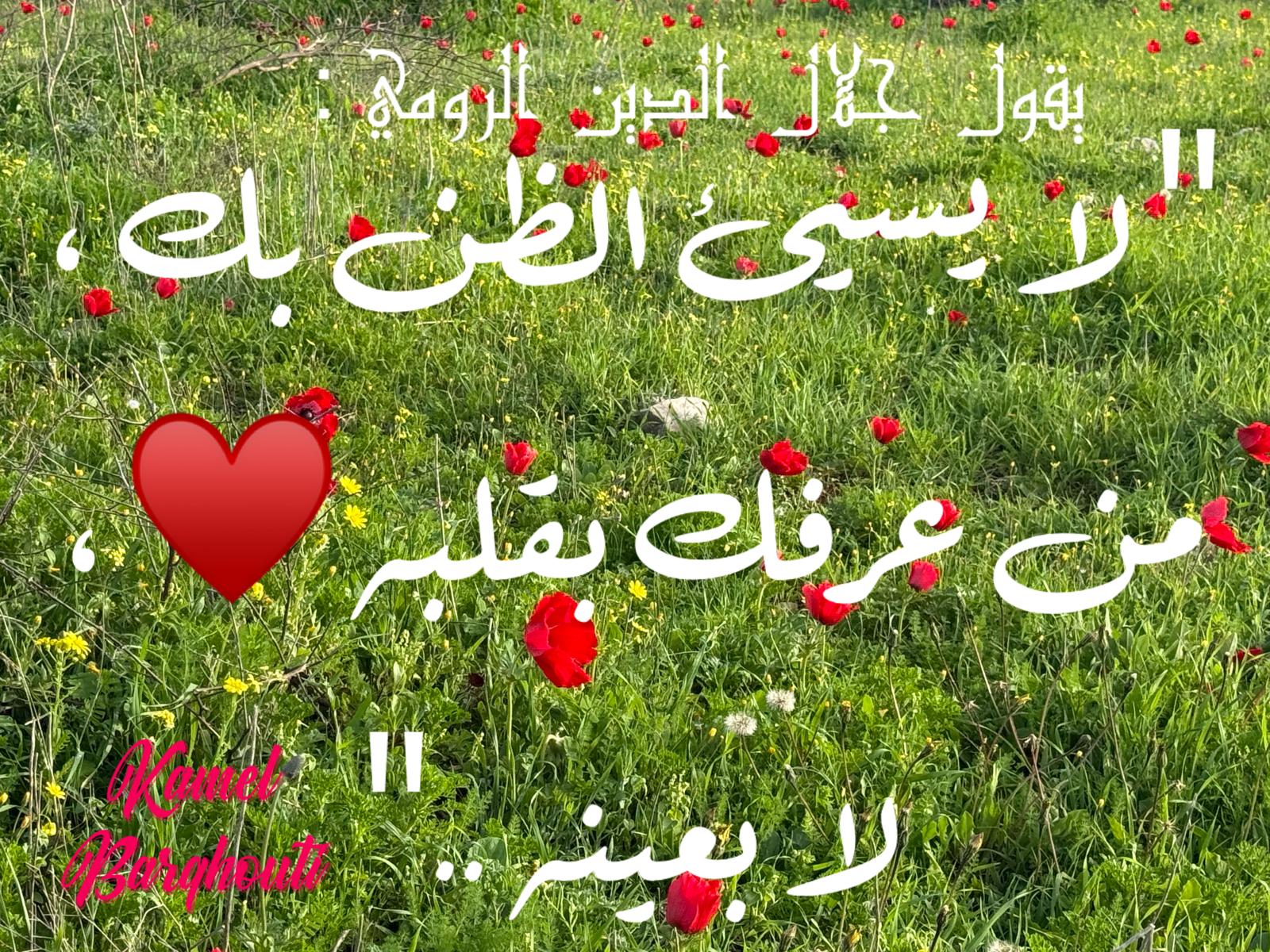 كلام جميل – اقتباس 623