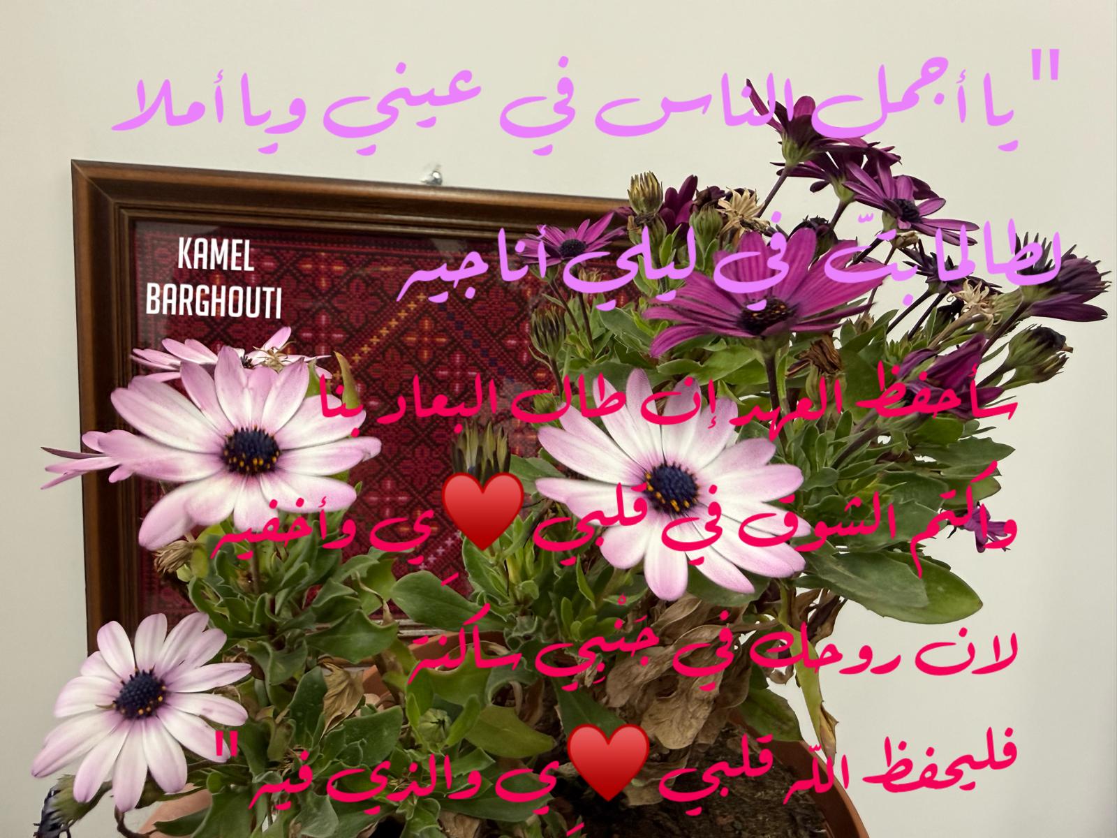 حب وحنين – اقتباس 560