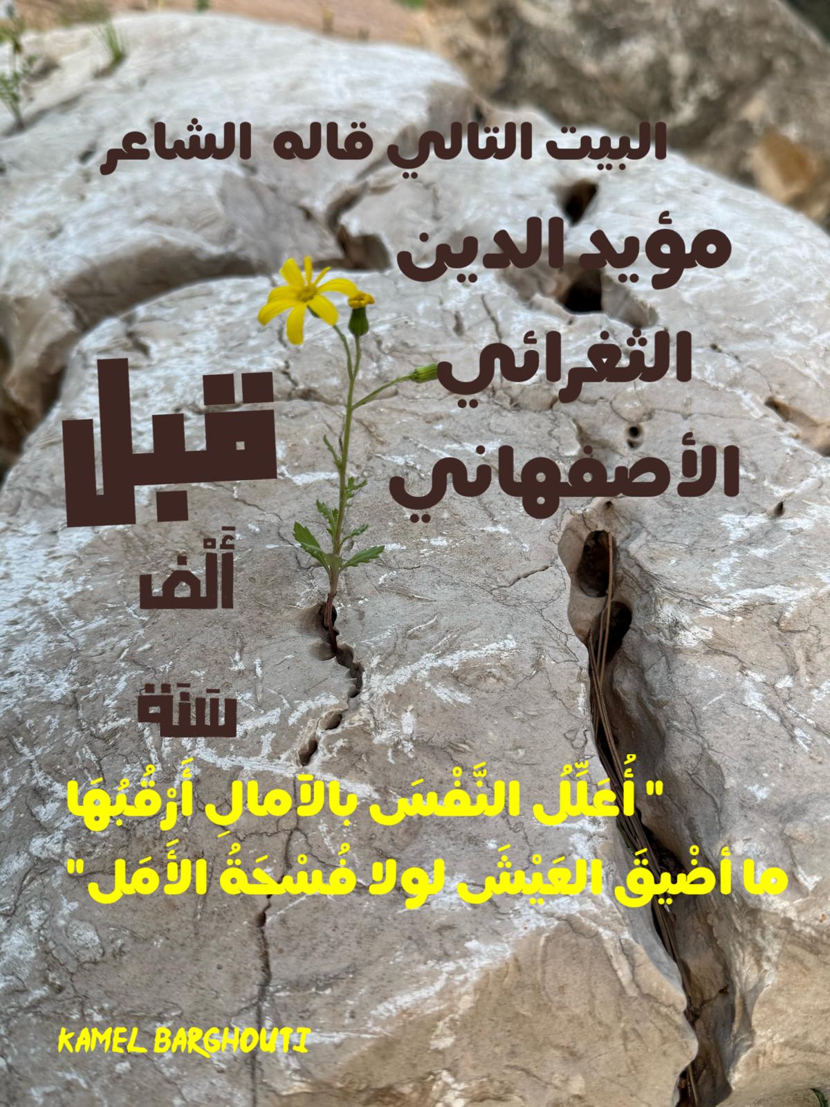 علم وعمل – اقتباس 55