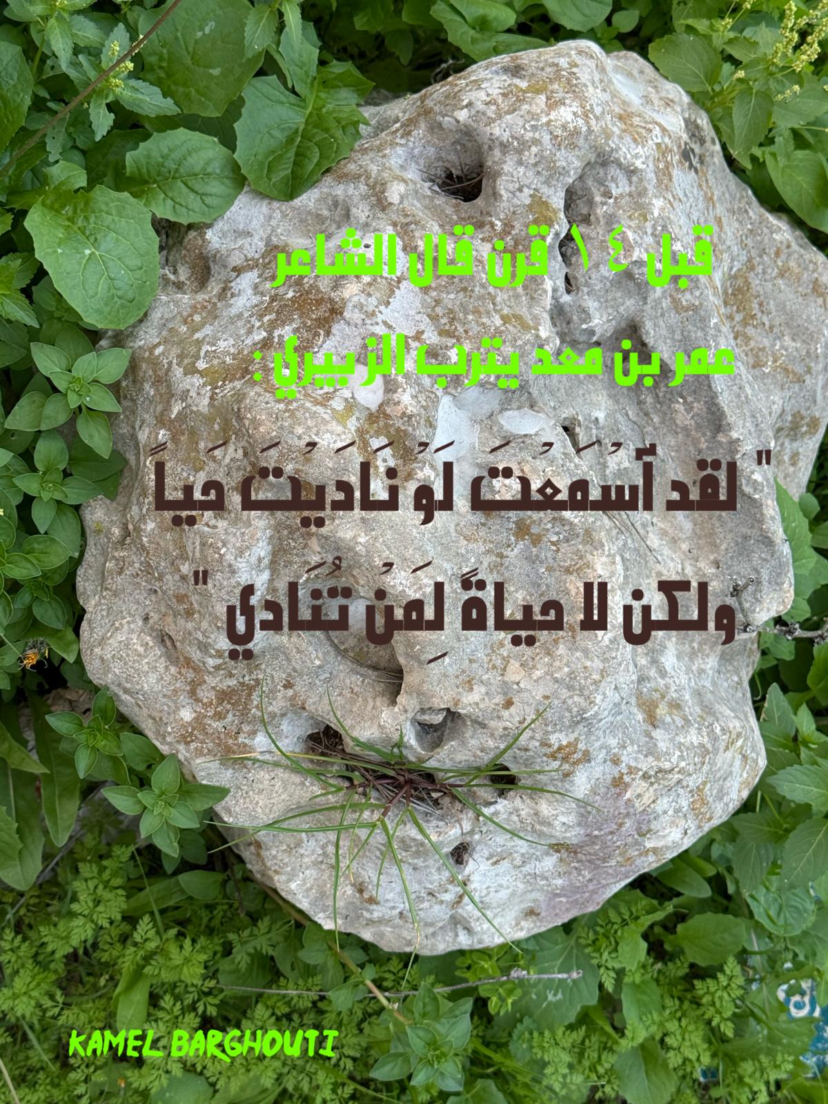 كلام جميل – اقتباس 618