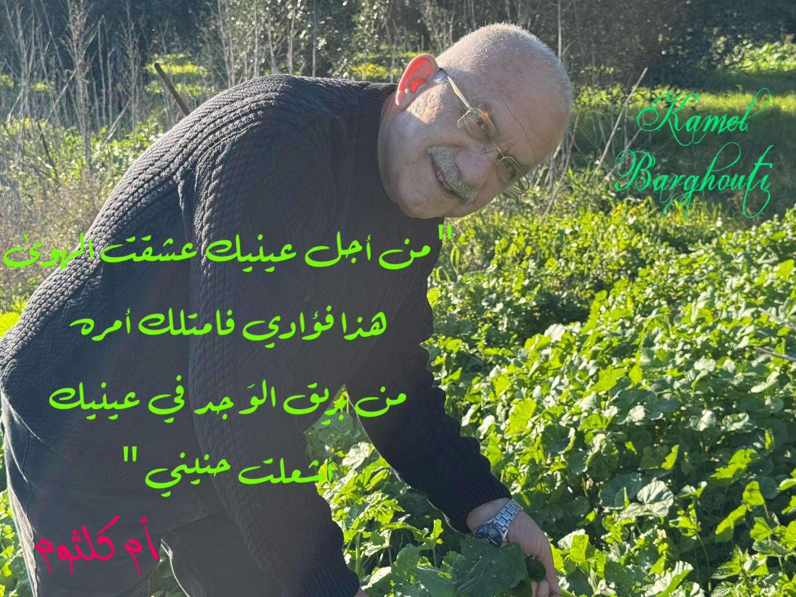 حب وحنين – اقتباس 556