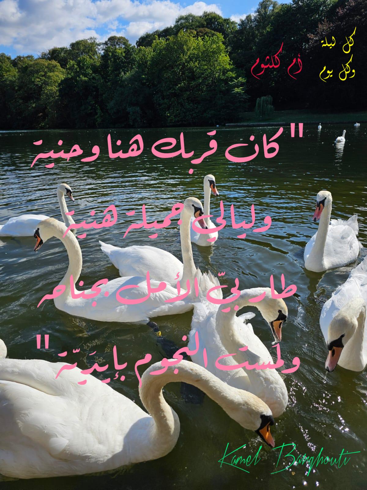 حب وحنين – اقتباس 554