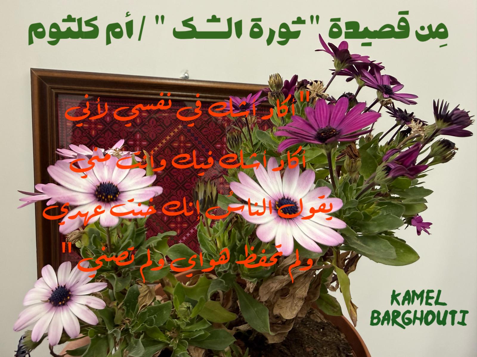 حب وحنين – اقتباس 553