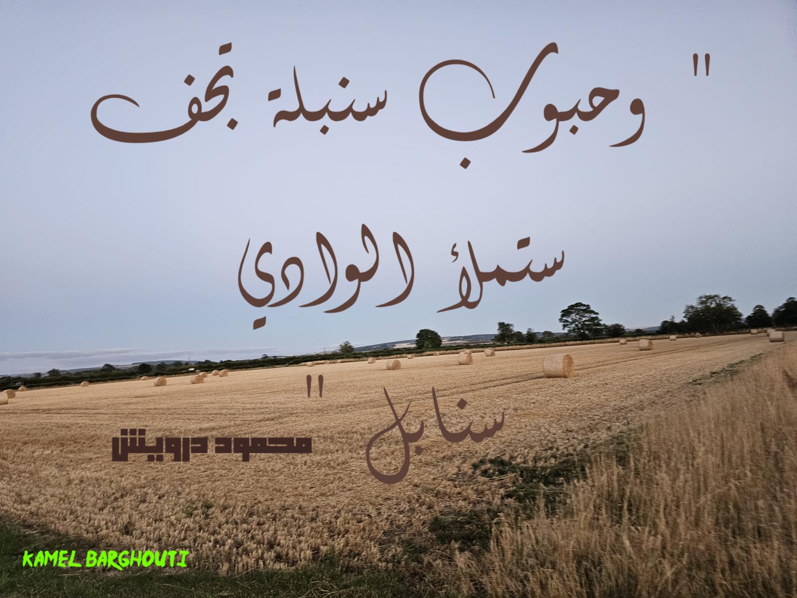 علم وعمل – اقتباس 53