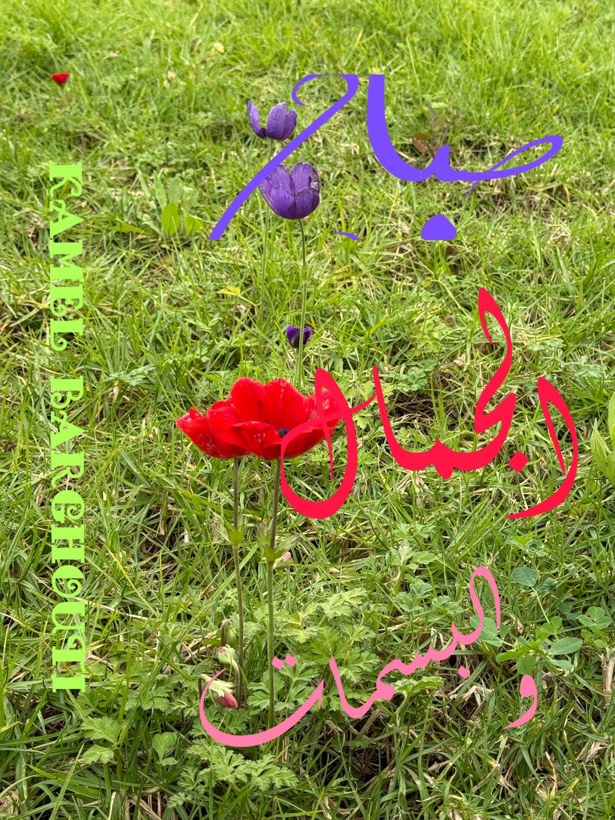 صباح الخير – اقتباس 115