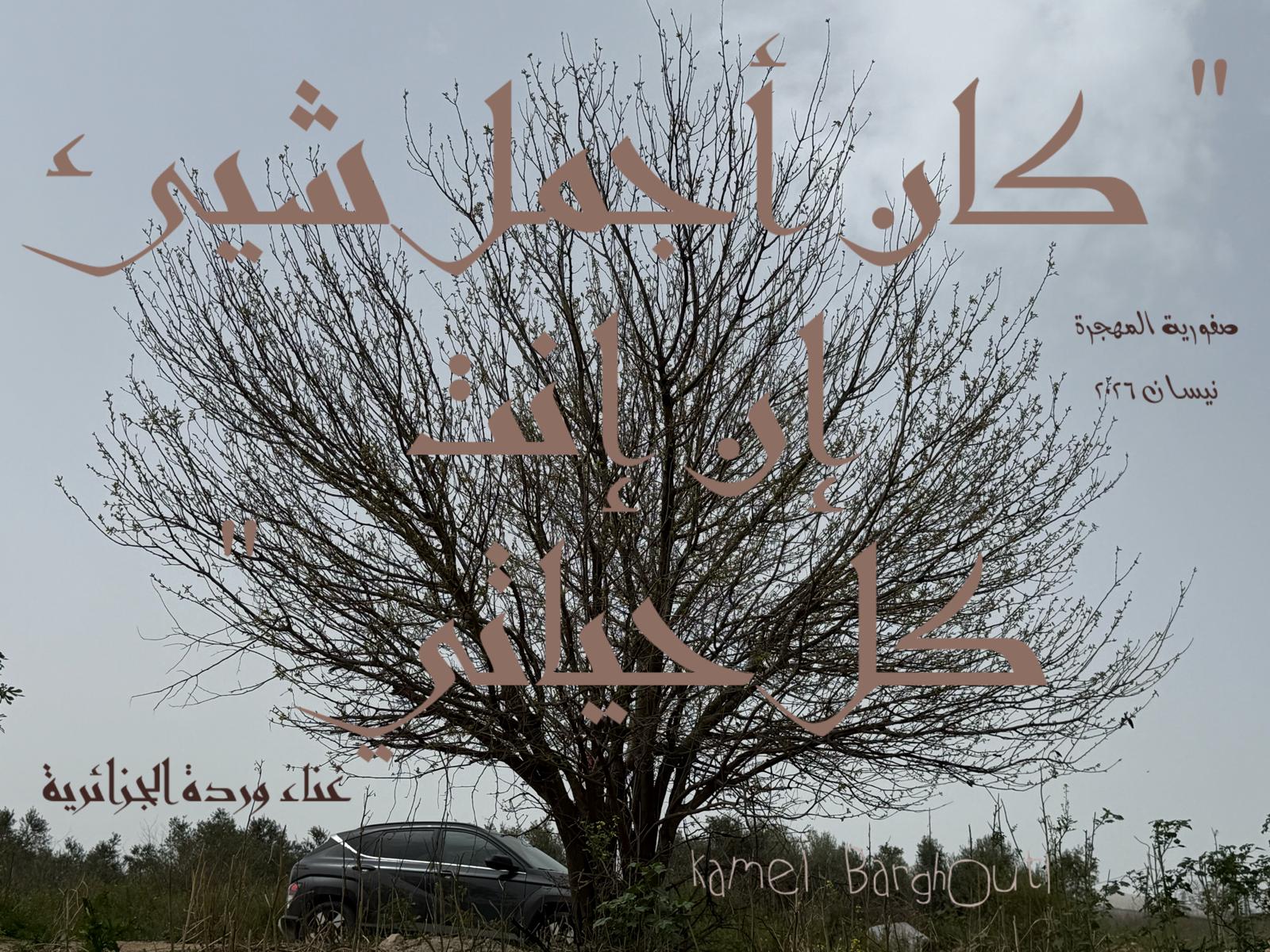 حب وحنين – اقتباس 548