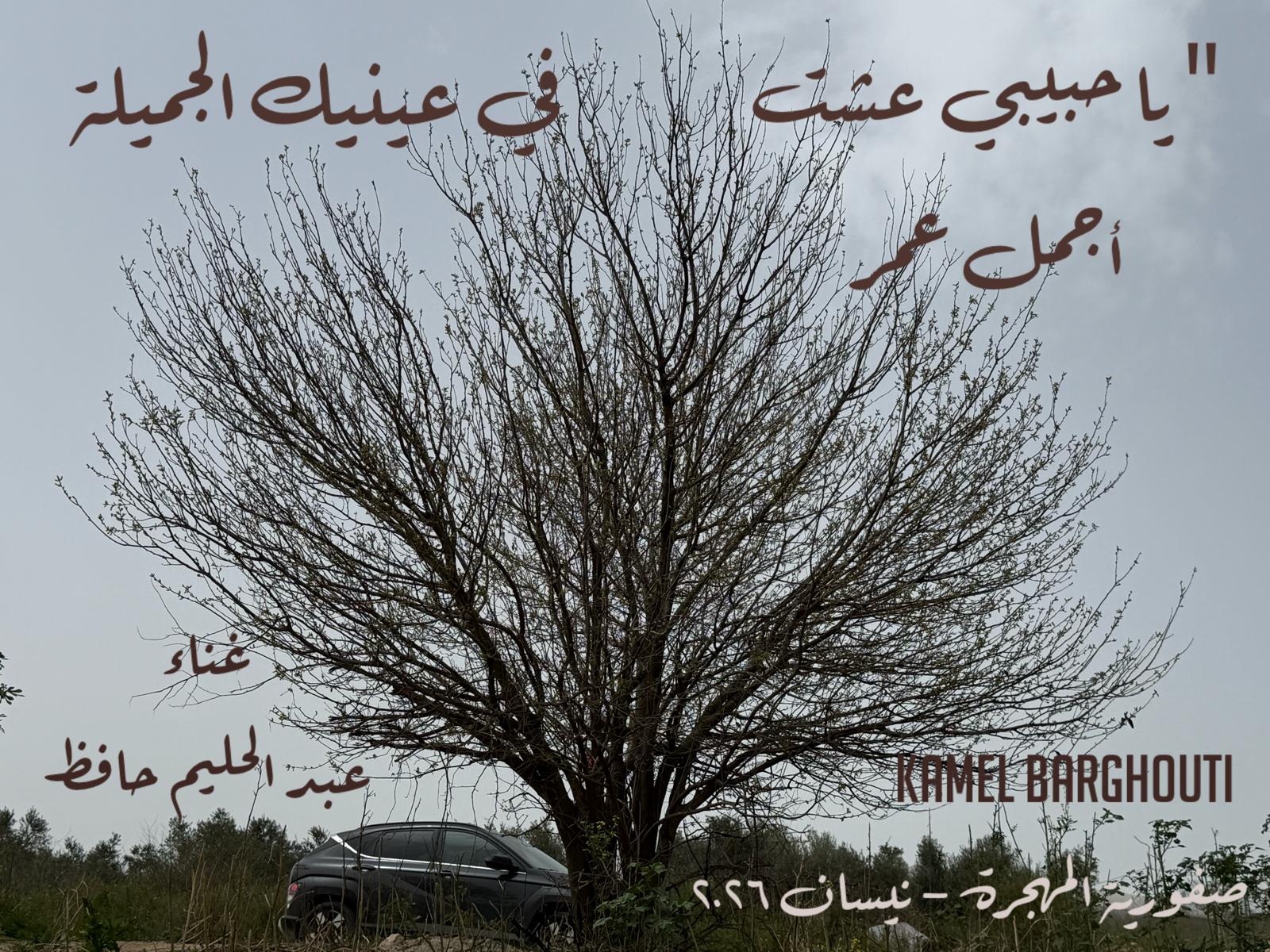 حب وحنين – اقتباس 551
