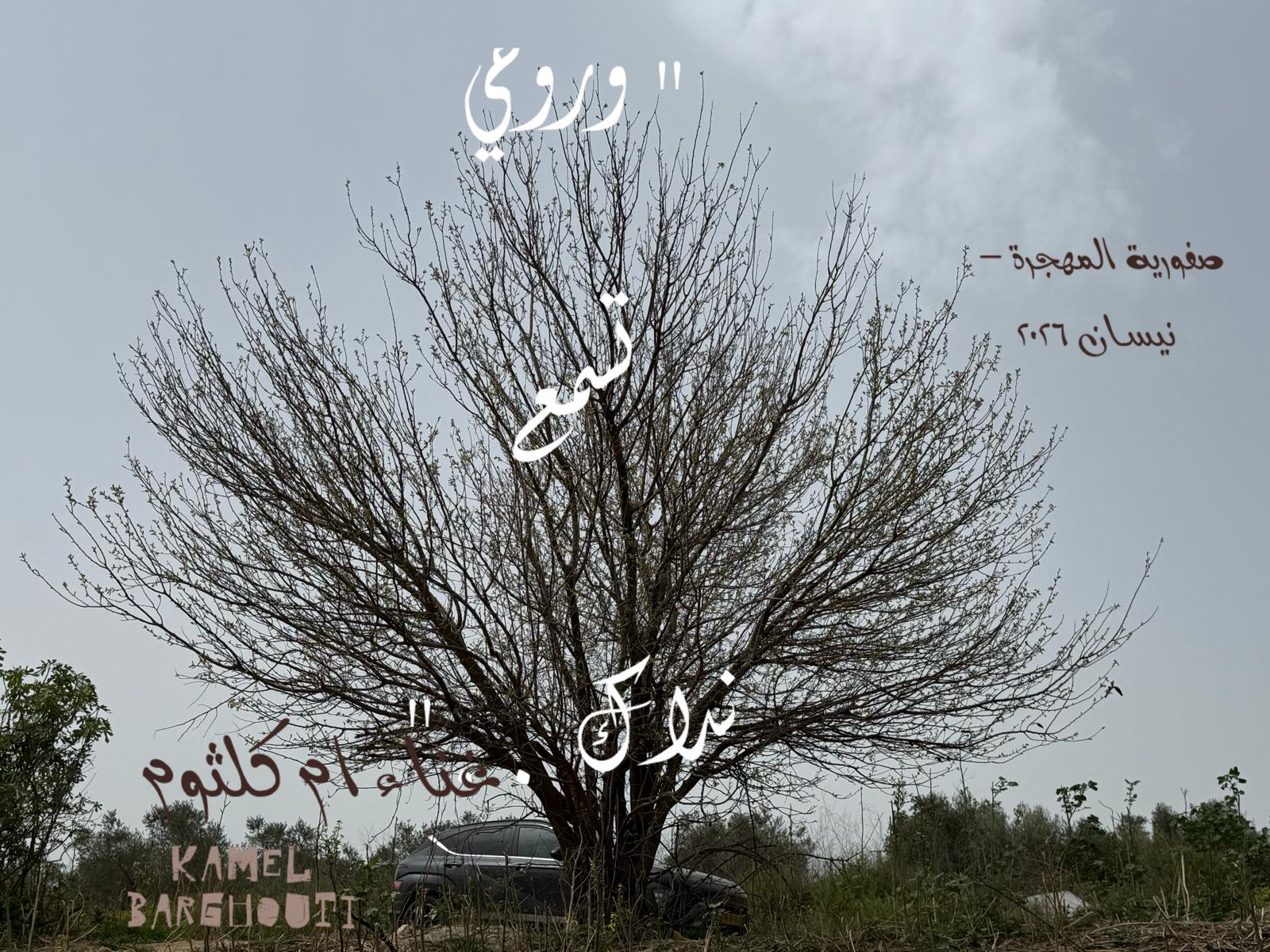 حب وحنين – اقتباس 547