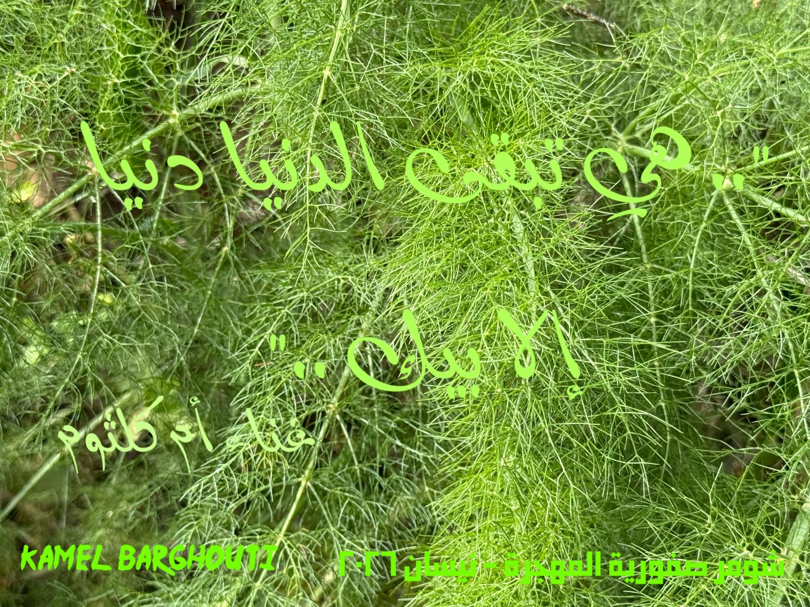 حب وحنين – اقتباس 550