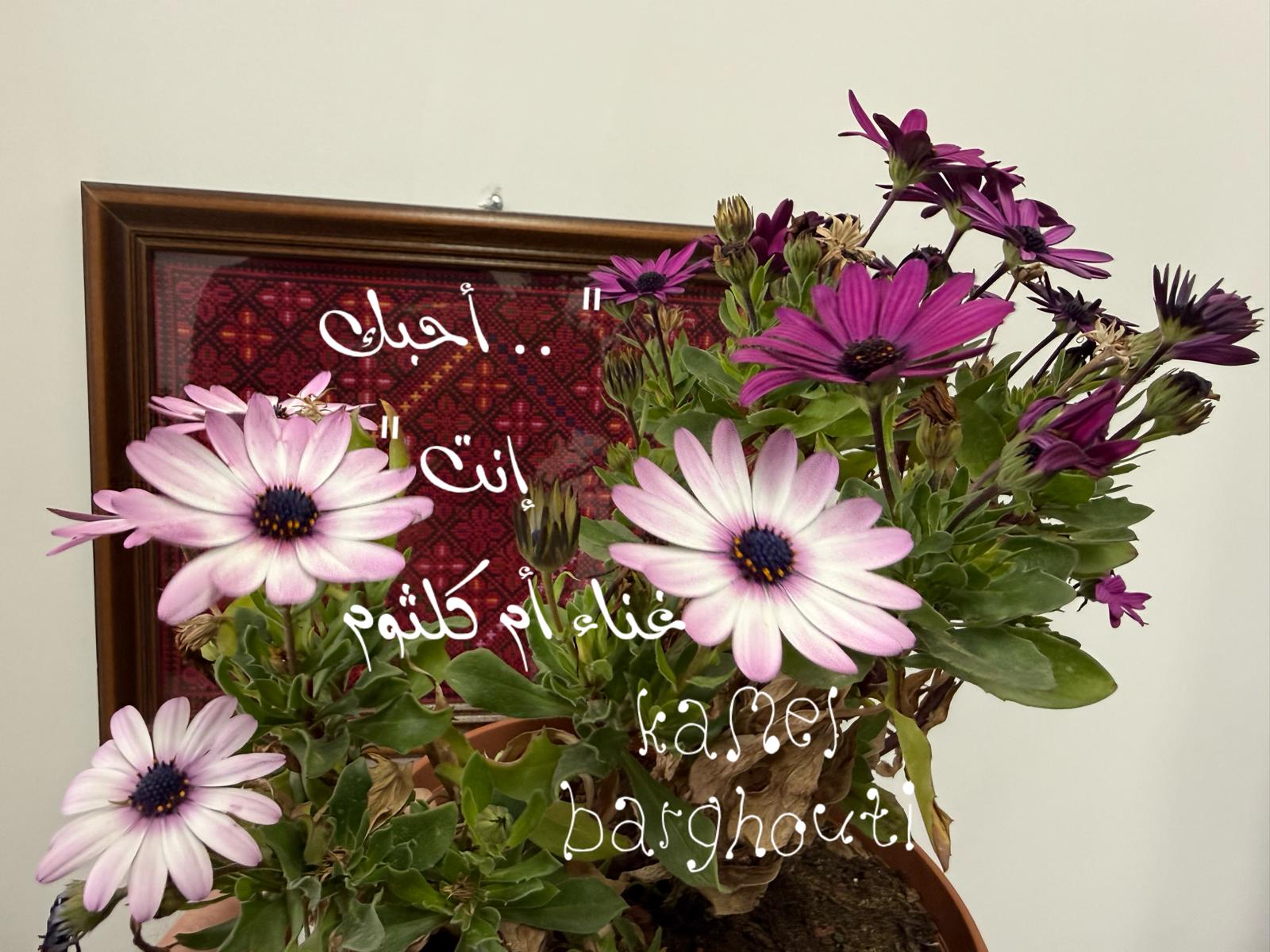 حب وحنين – اقتباس 549