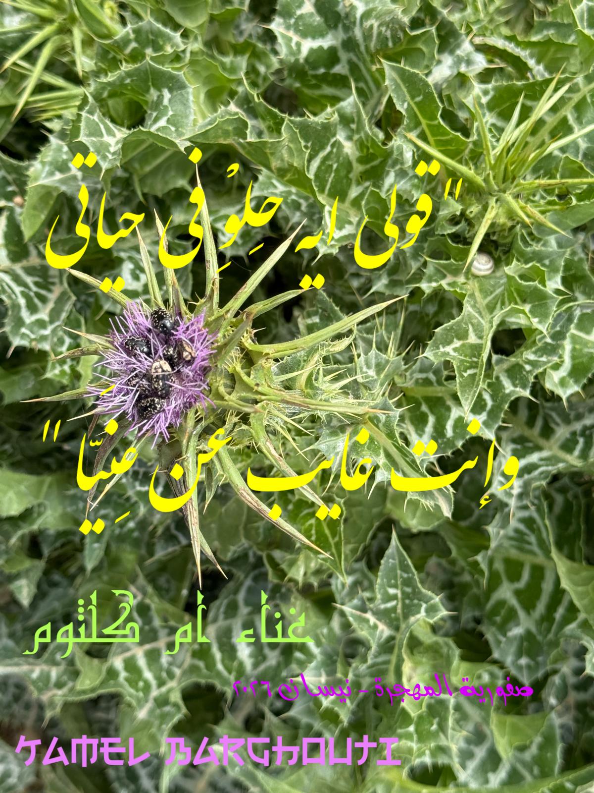 حب وحنين – اقتباس 552