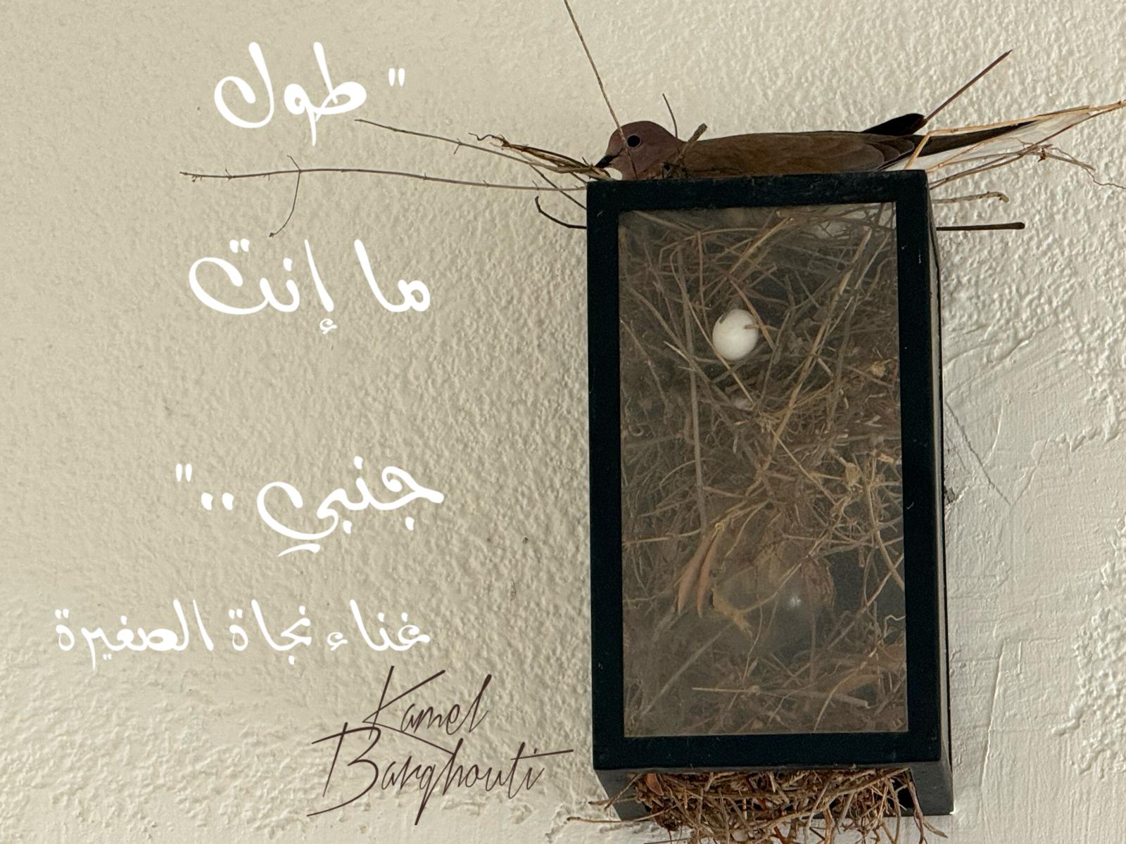 حب وحنين – اقتباس 545
