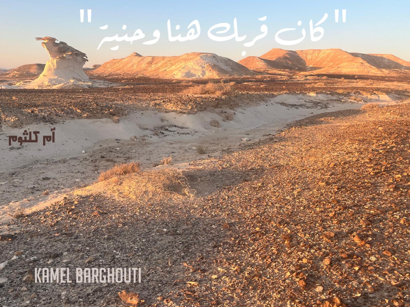 حب وحنين – اقتباس 542