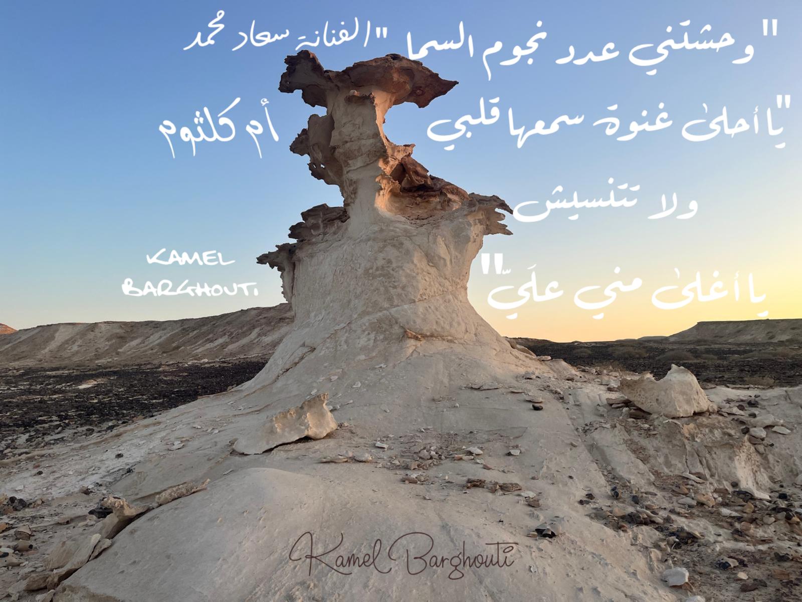 حب وحنين – اقتباس 543