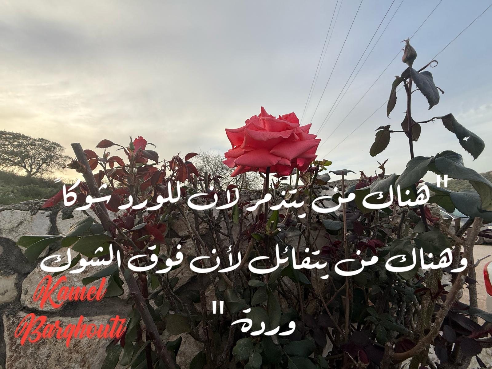 علم وعمل – اقتباس 48