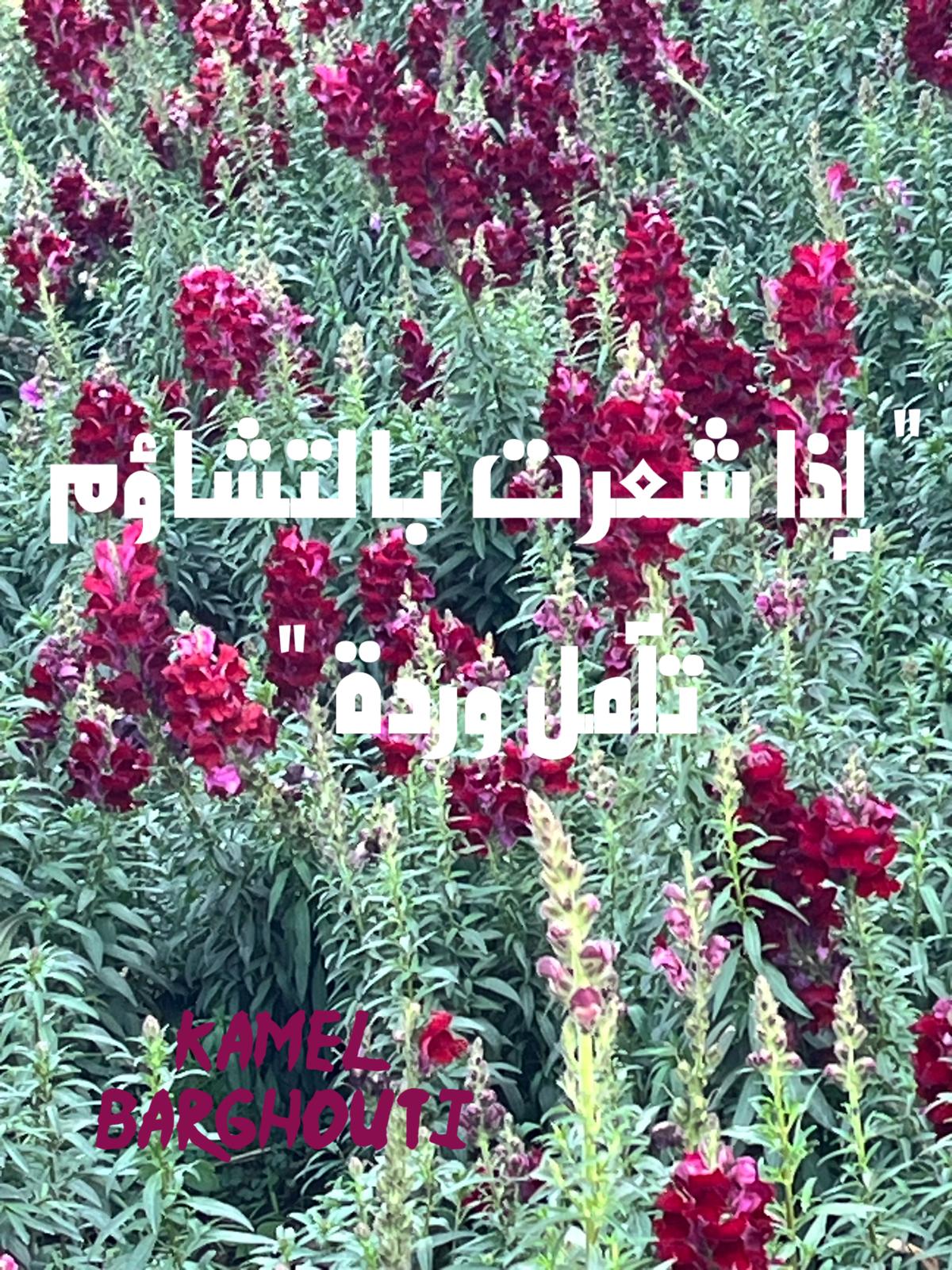 علم وعمل – اقتباس 47