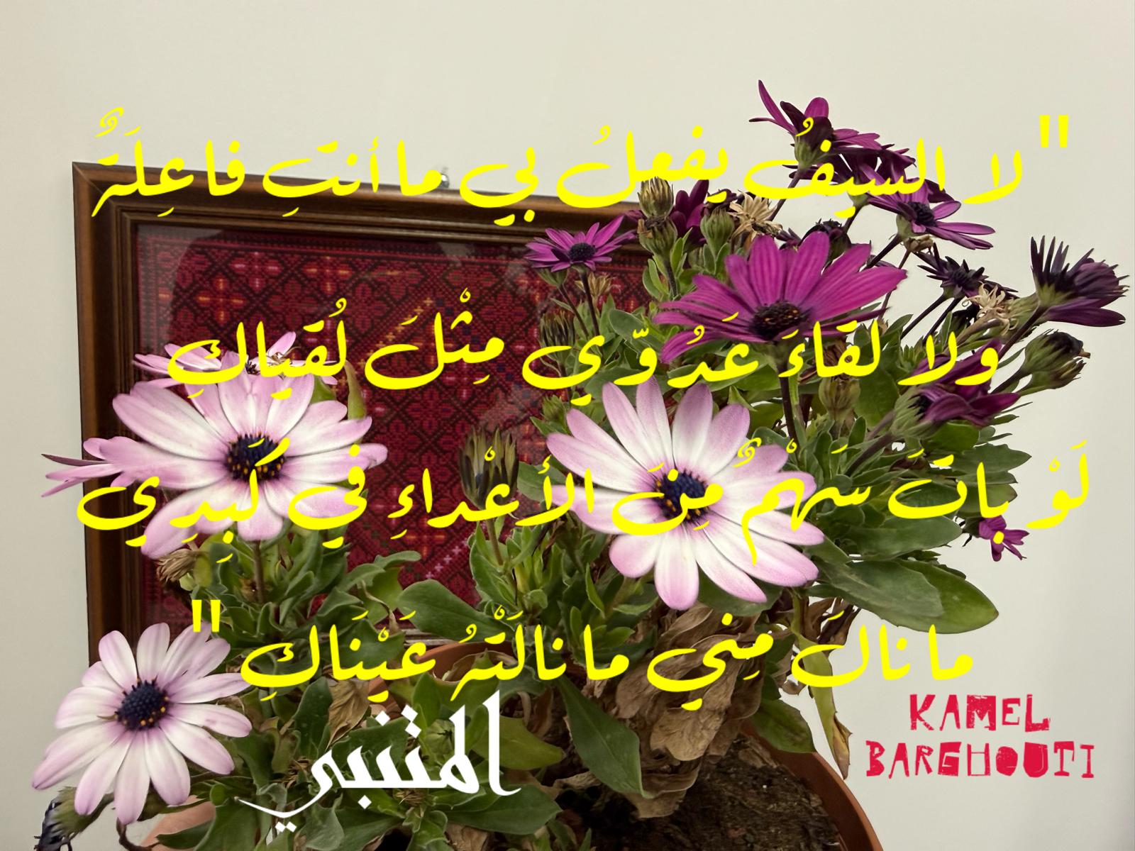 حب وحنين – اقتباس 541