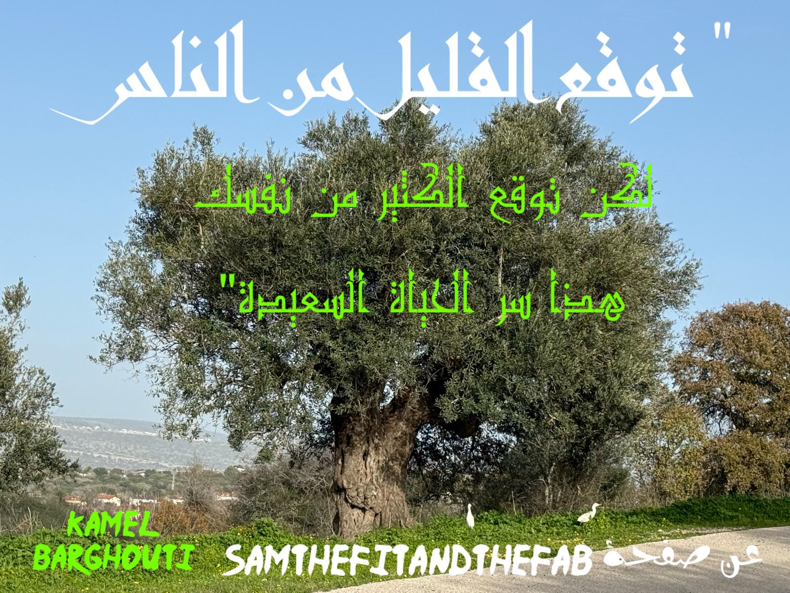 حكمة – اقتباس 310