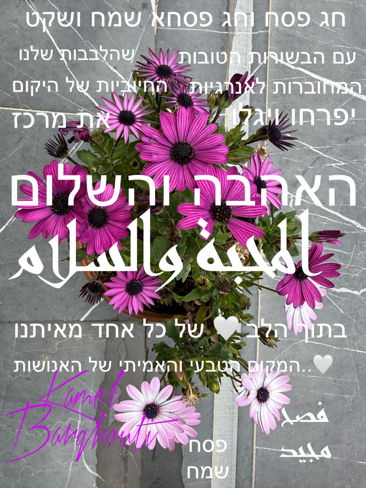 العبرية والأنجليزية – اقتباس 32