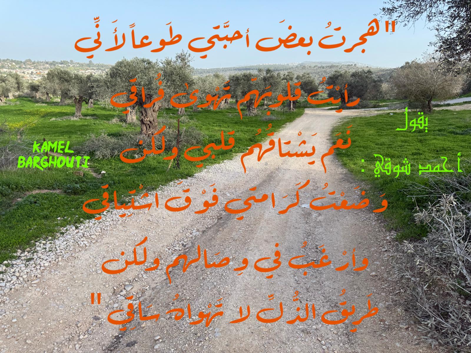 عزة النفس – اقتباس 11