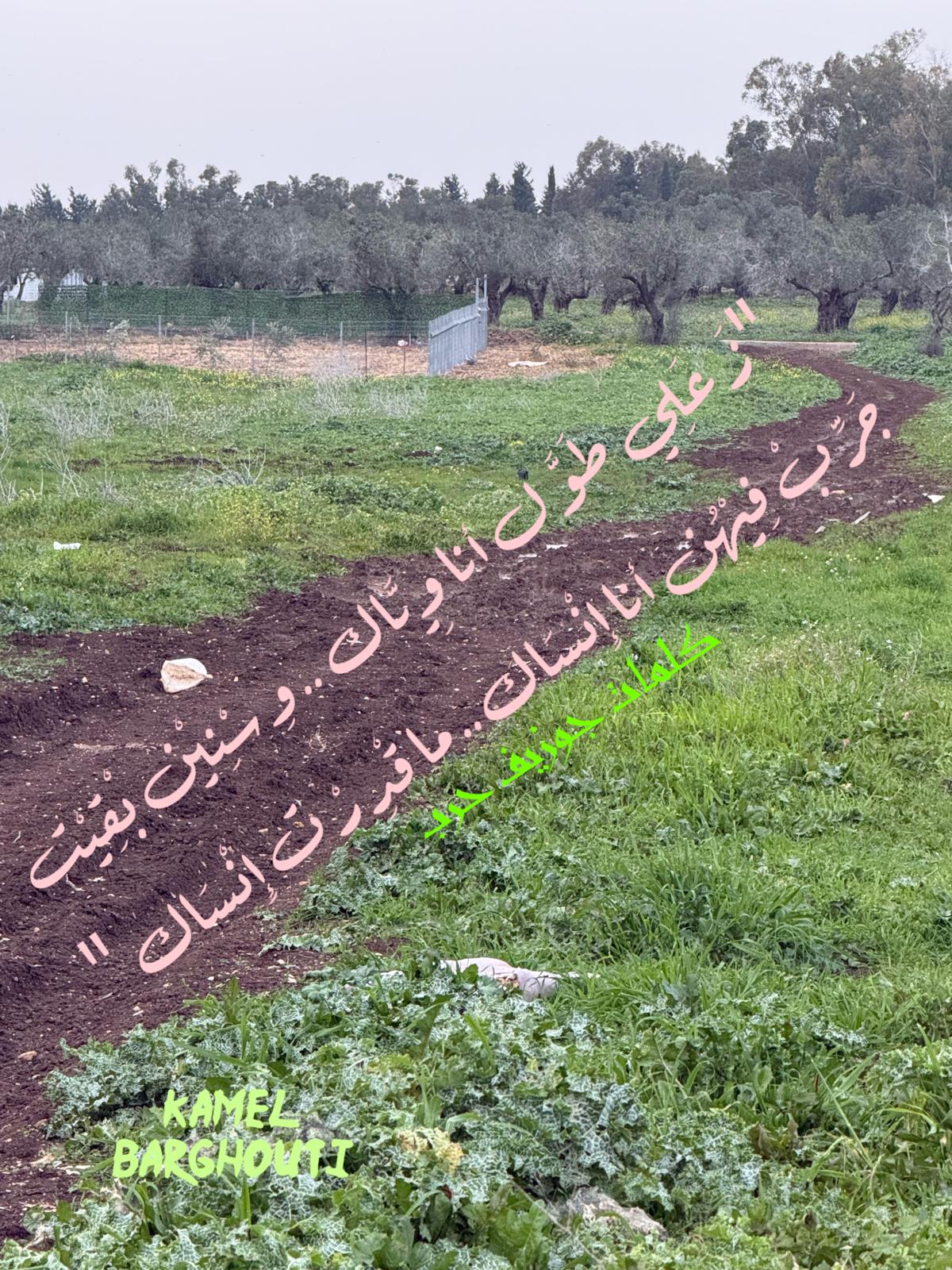 حب وحنين – اقتباس 540