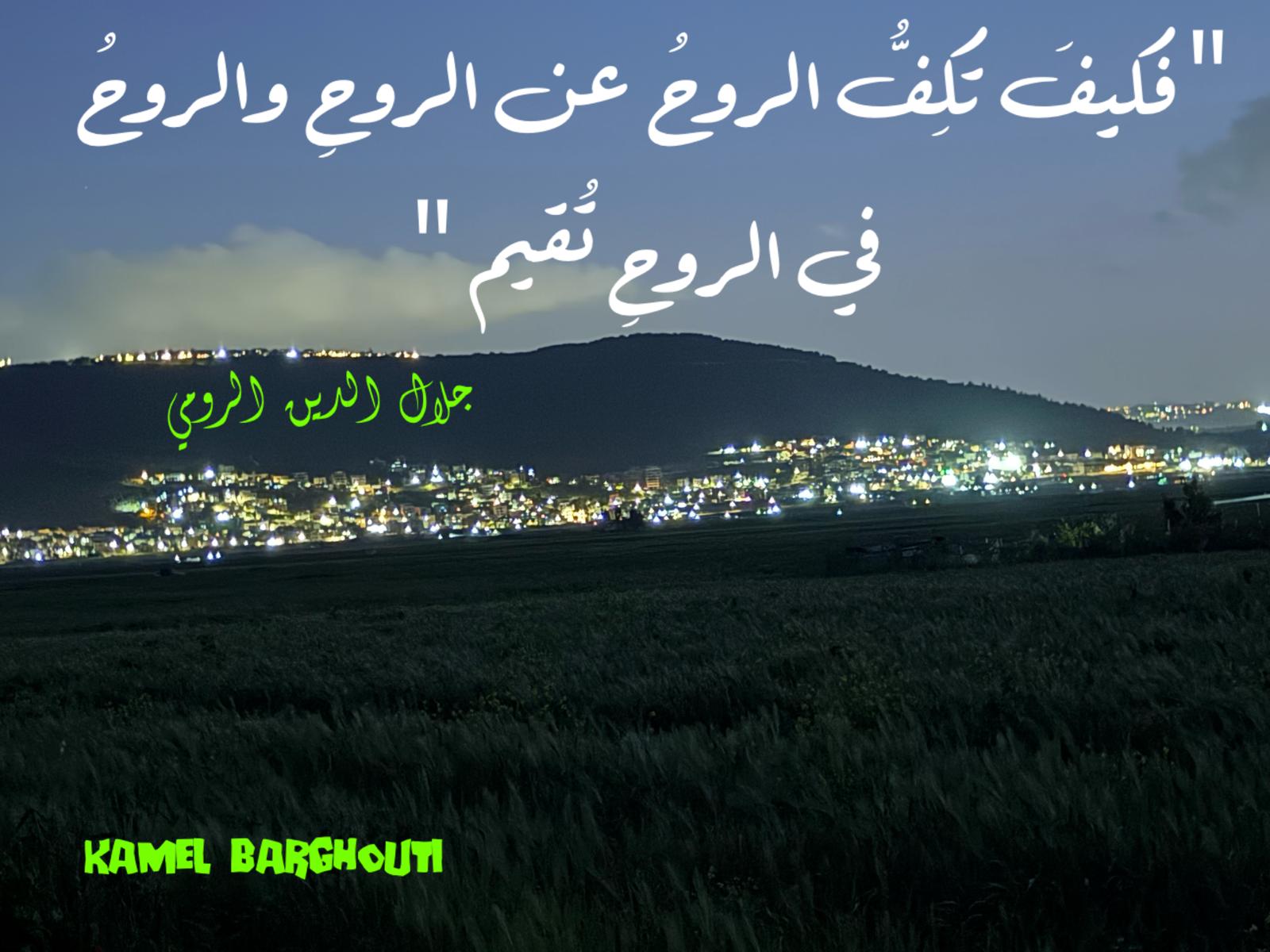 حب وحنين – اقتباس 539