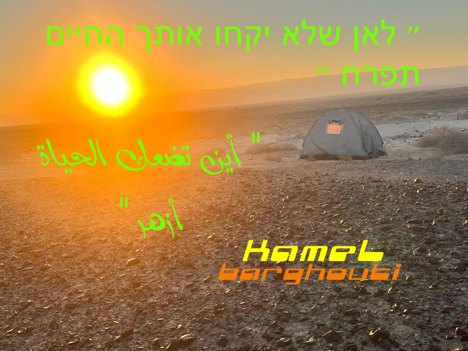 العبرية والأنجليزية – اقتباس 31